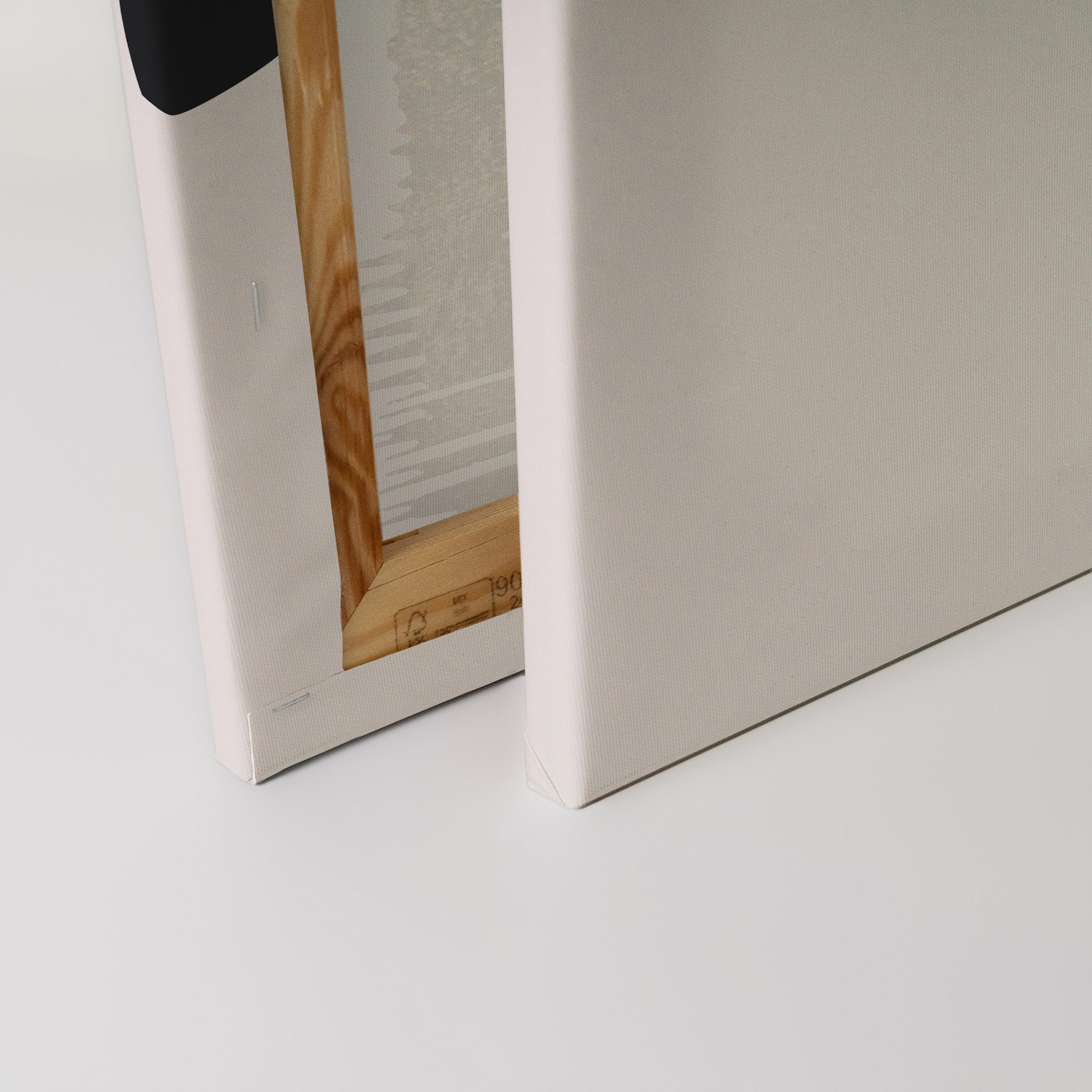 AS Leinwandbild The Swan 1 DD131756