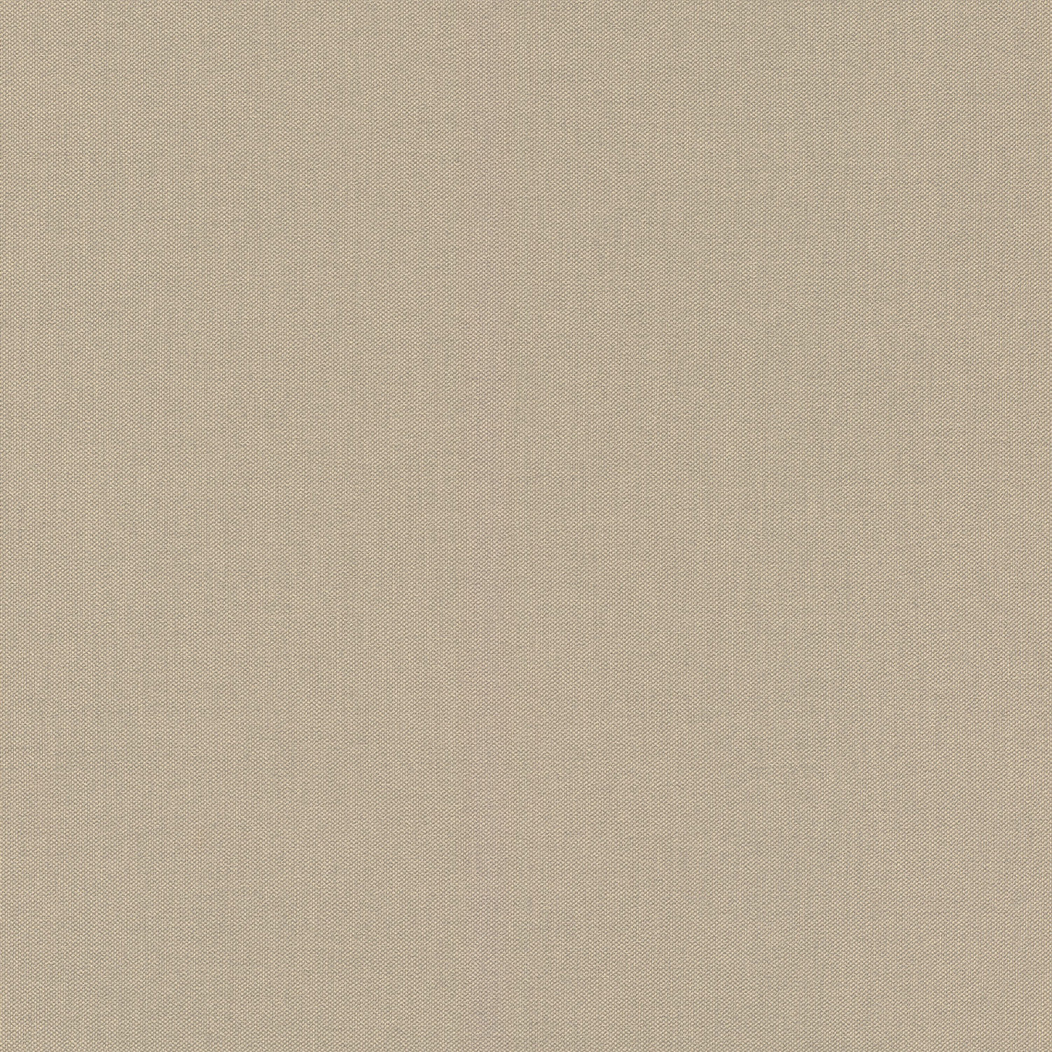 Rasch Vliestapete Allegretto Braun-Sand 423921 Rasch Vliestapete Allegretto Braun-Sand 423921