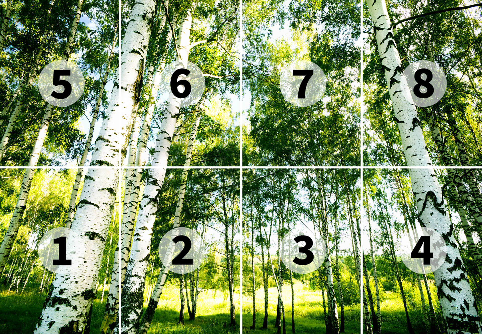 AS Fototapete Designwalls 2.0 SunshineForest DD118848