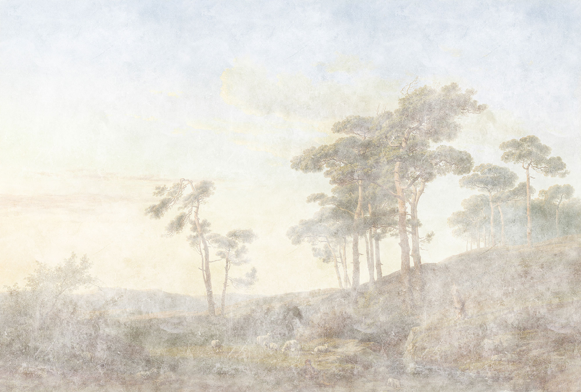 AS Fototapete Walls by Patel 3 Wald DD121964