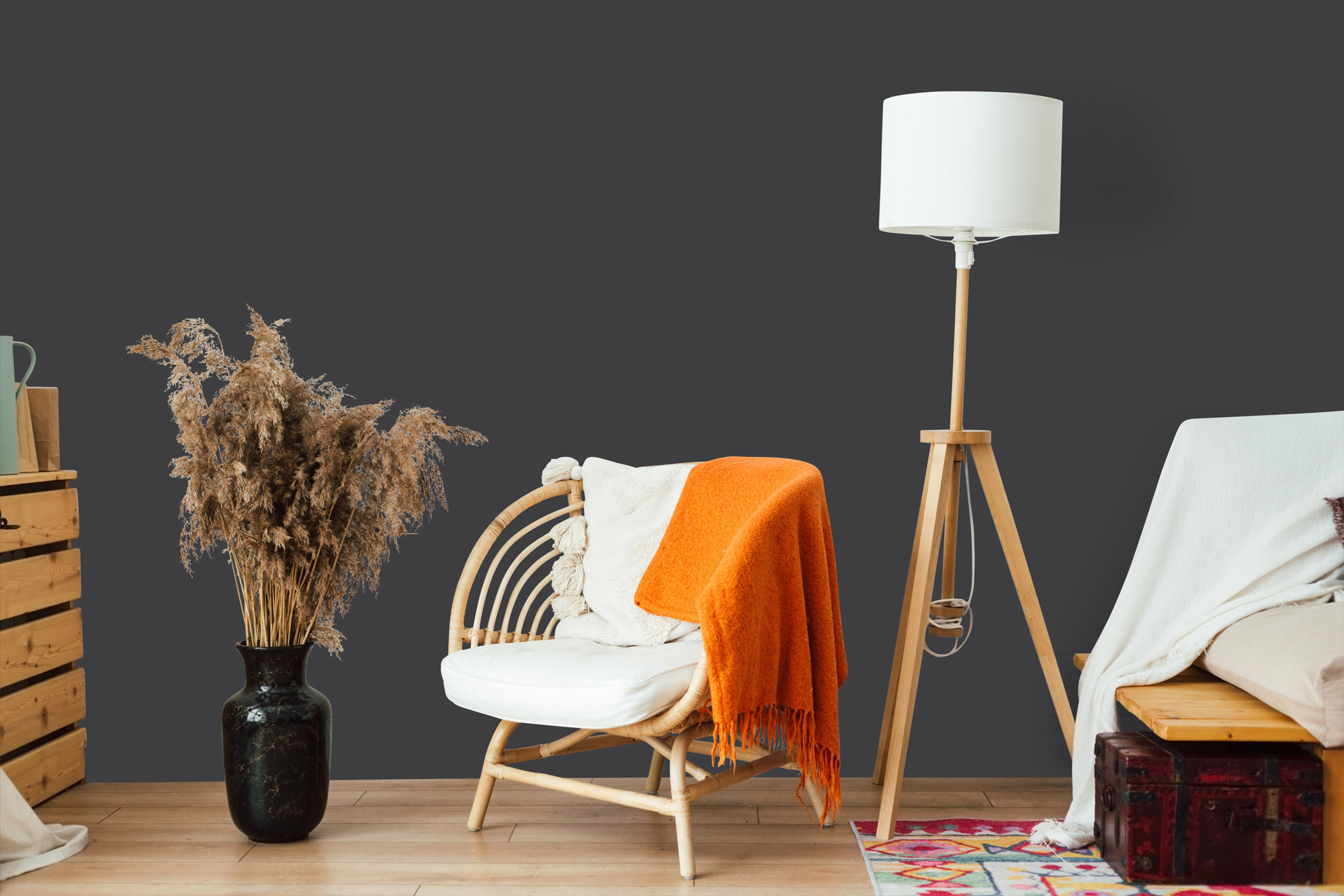 AS Wandfarbe The Color Kitchen TCK1007 Casual Caviar 2,5 L