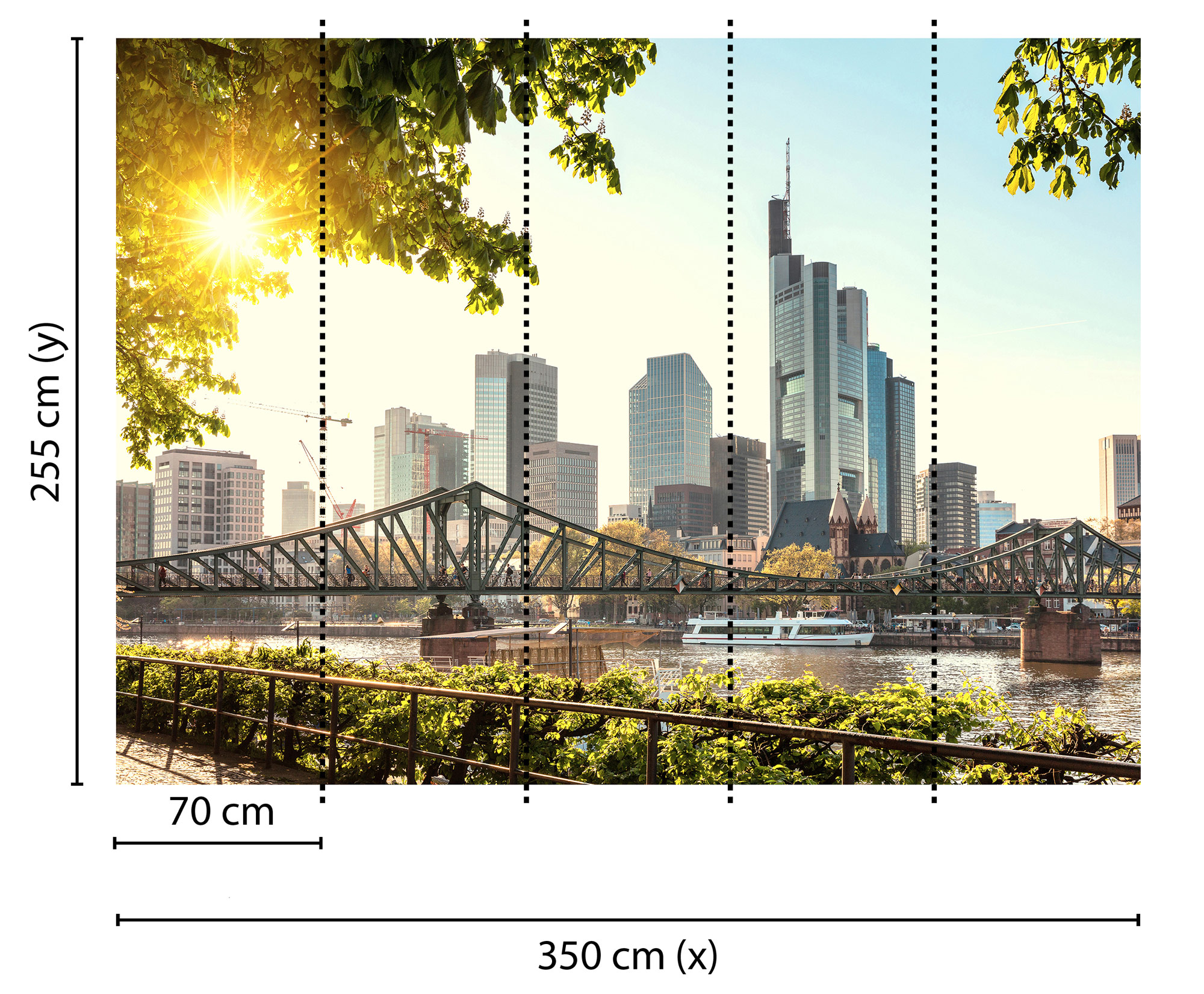AS Fototapete Designwalls FrankfurtCity DD118690