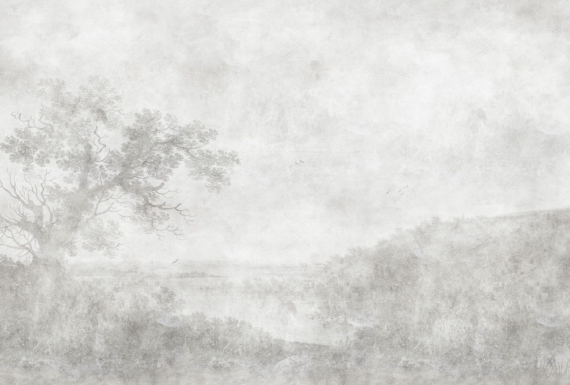 AS Fototapete Walls by Patel 3 Wald DD121976
