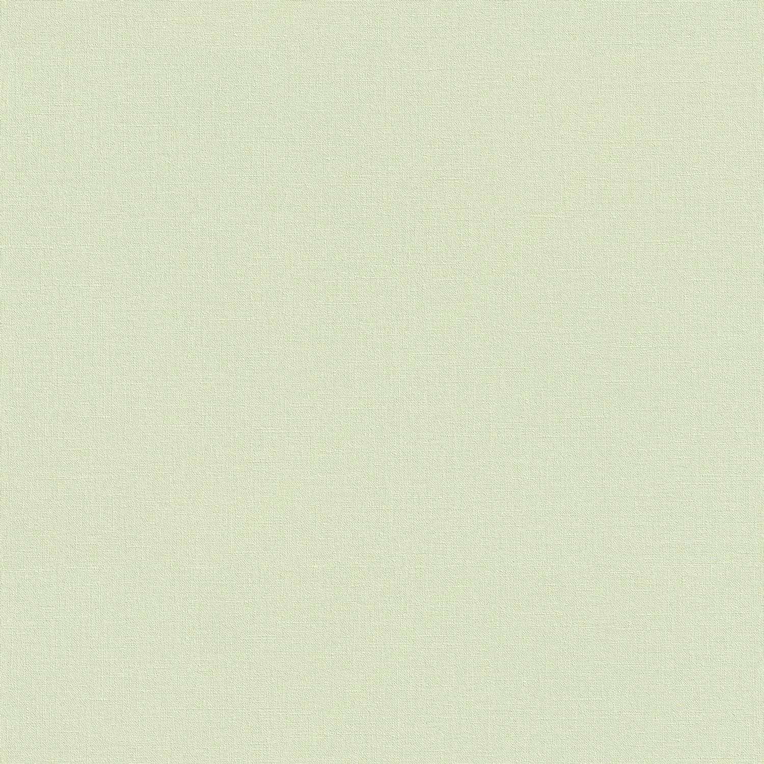 Rasch Vliestapete Country Charme Grün-pistaziengrün 447538 Rasch Vliestapete Country Charme Grün-pistaziengrün 447538