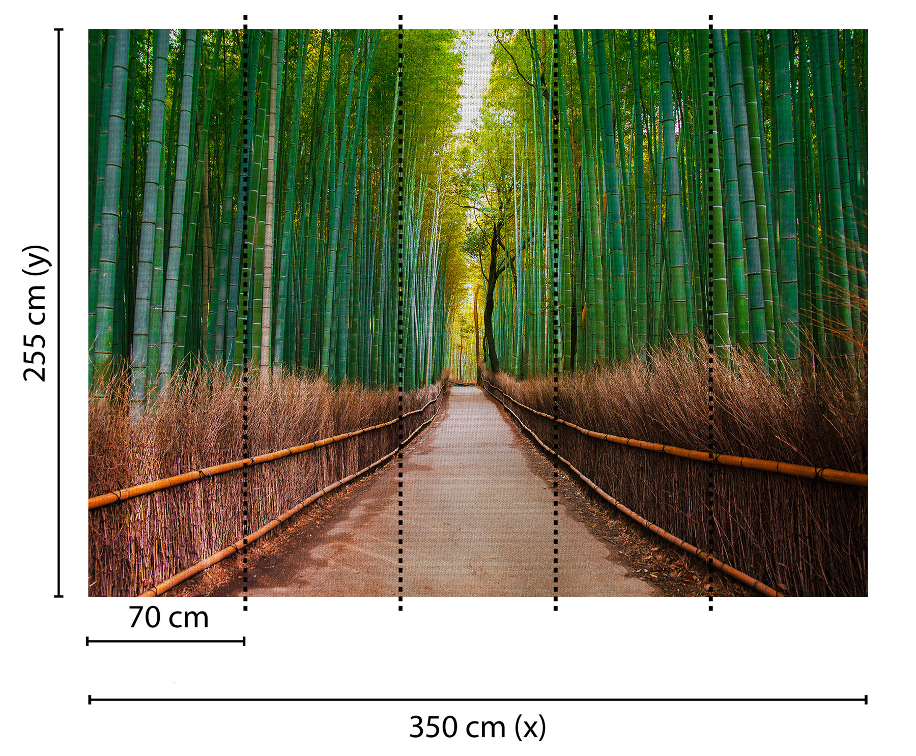 AS Fototapete Designwalls BambusWalk DD118630