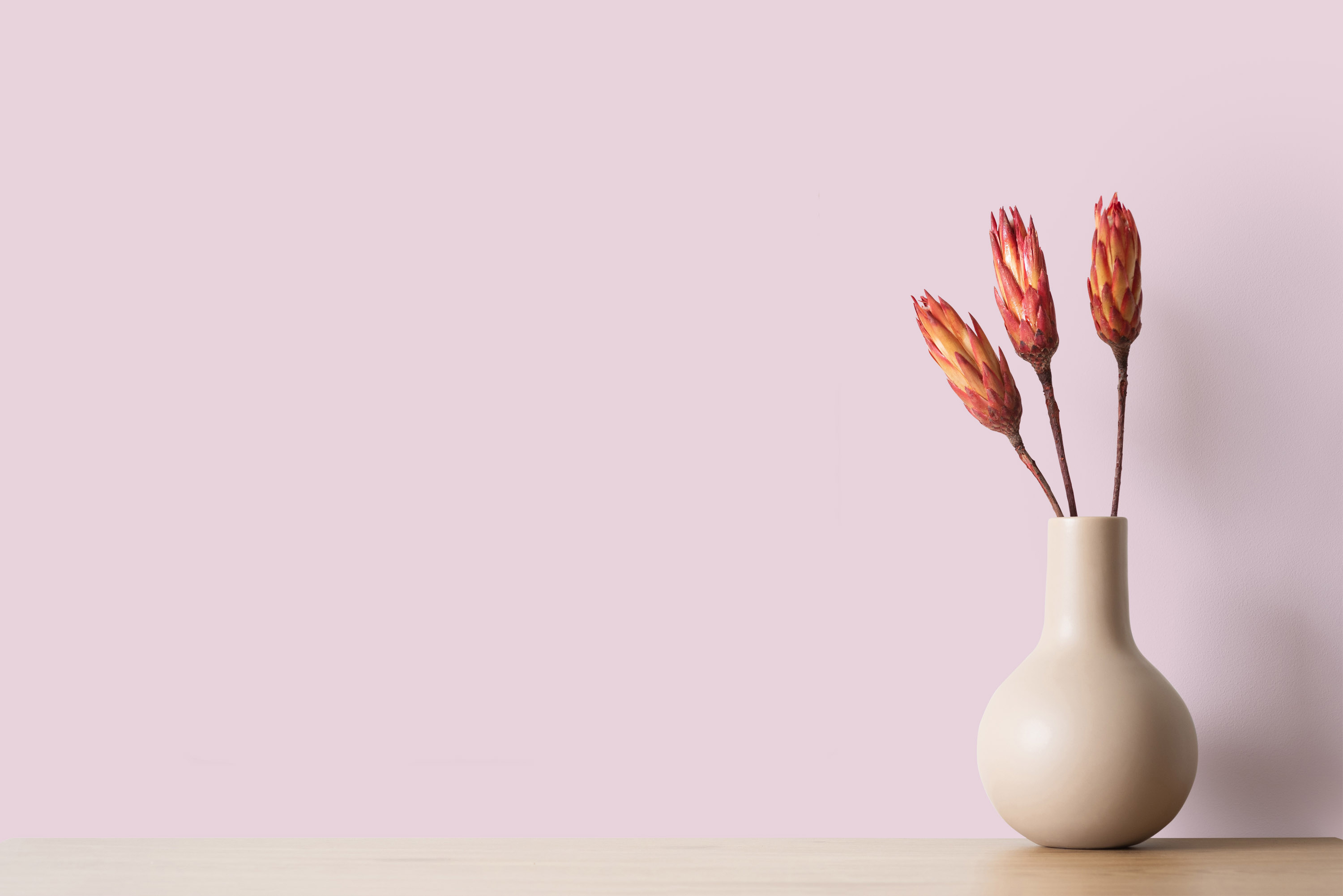 AS Wandfarbe The Color Kitchen TCK2003 Milky Strawberry 2,5