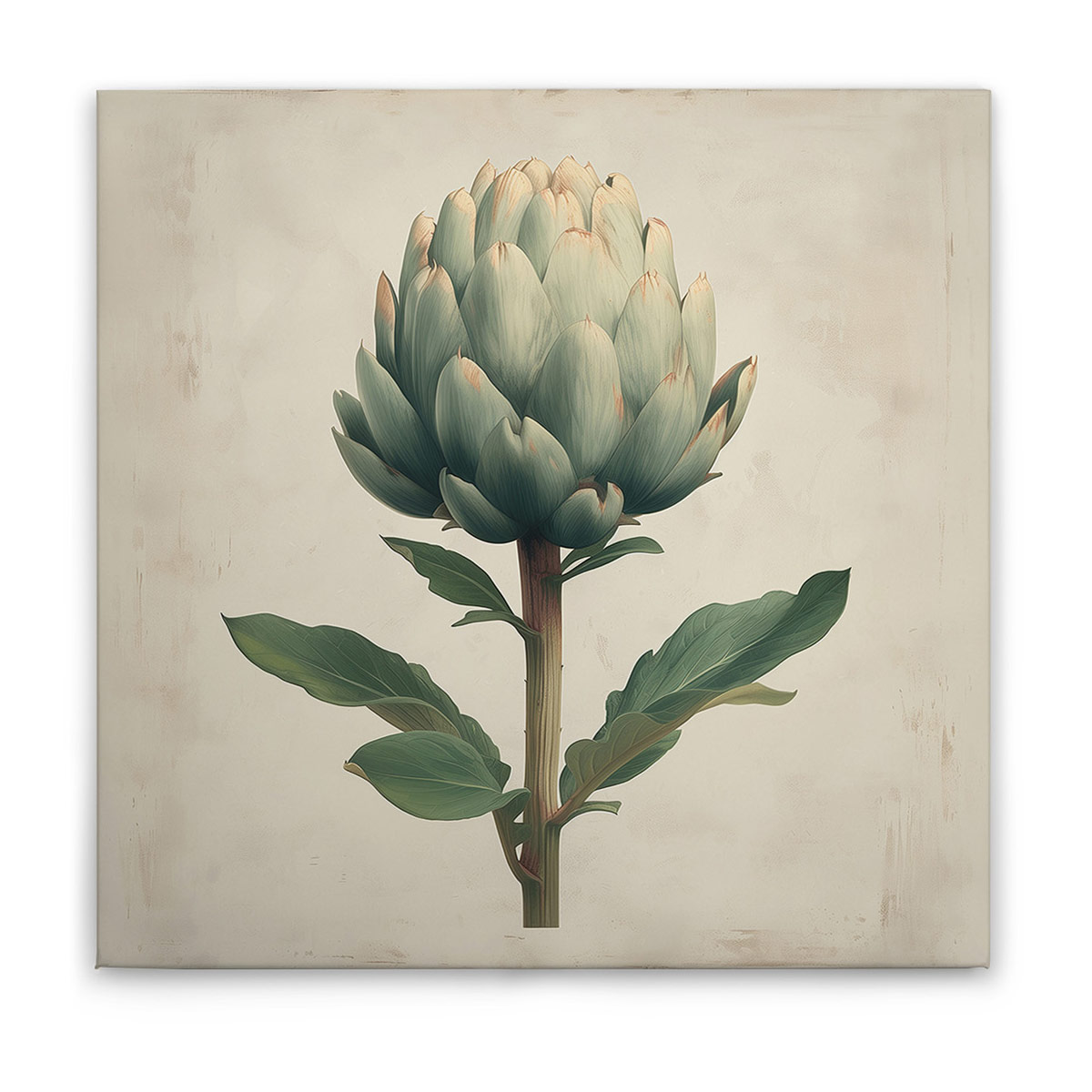 AS Leinwandbild Artischocke DD132923