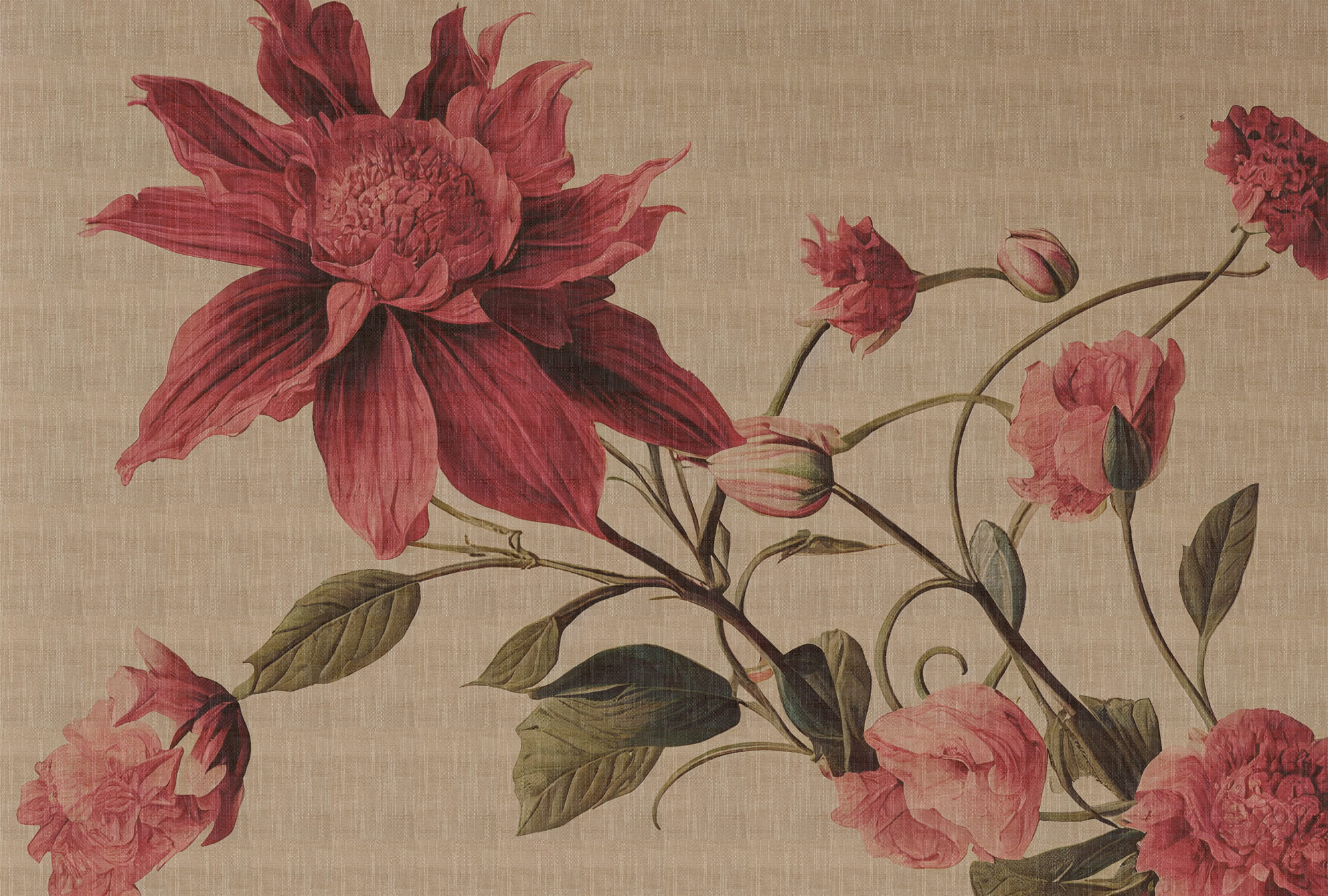 AS Fototapete Walls by Patel 5 Blumen Beige DD134597