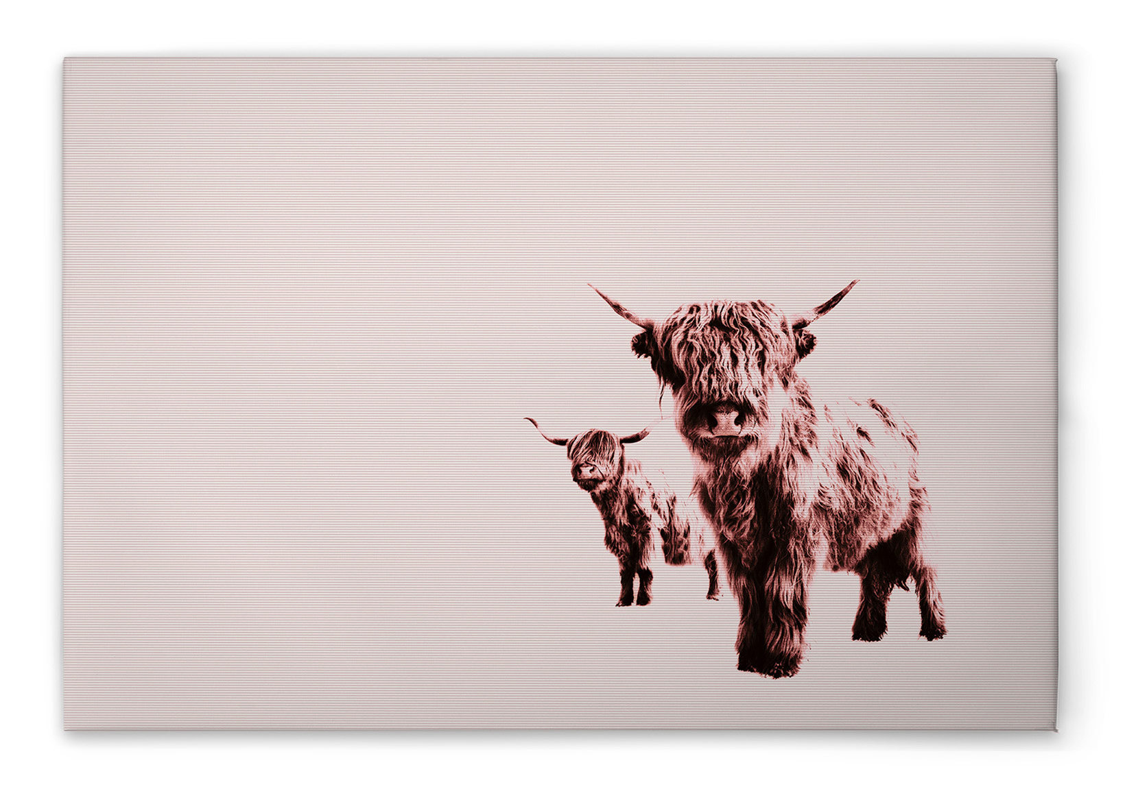 AS Leinwandbild Highland Cows DD132243