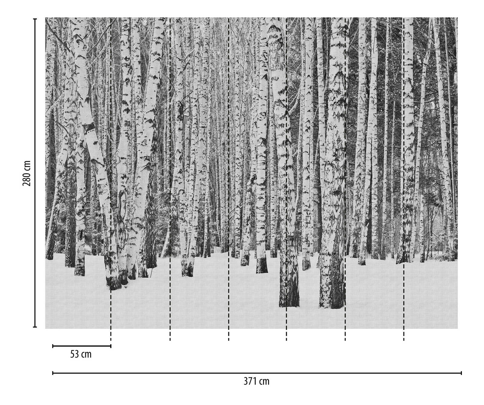 Livingwalls Vliestapete The Wall Birkenwald 382591