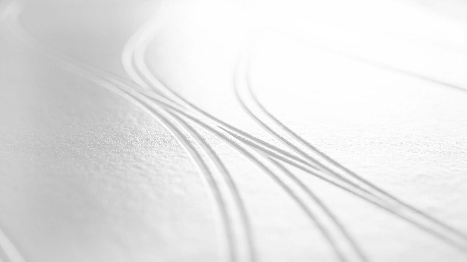 AS Vliestapete Meistervlies 8 überstreichbar 244918