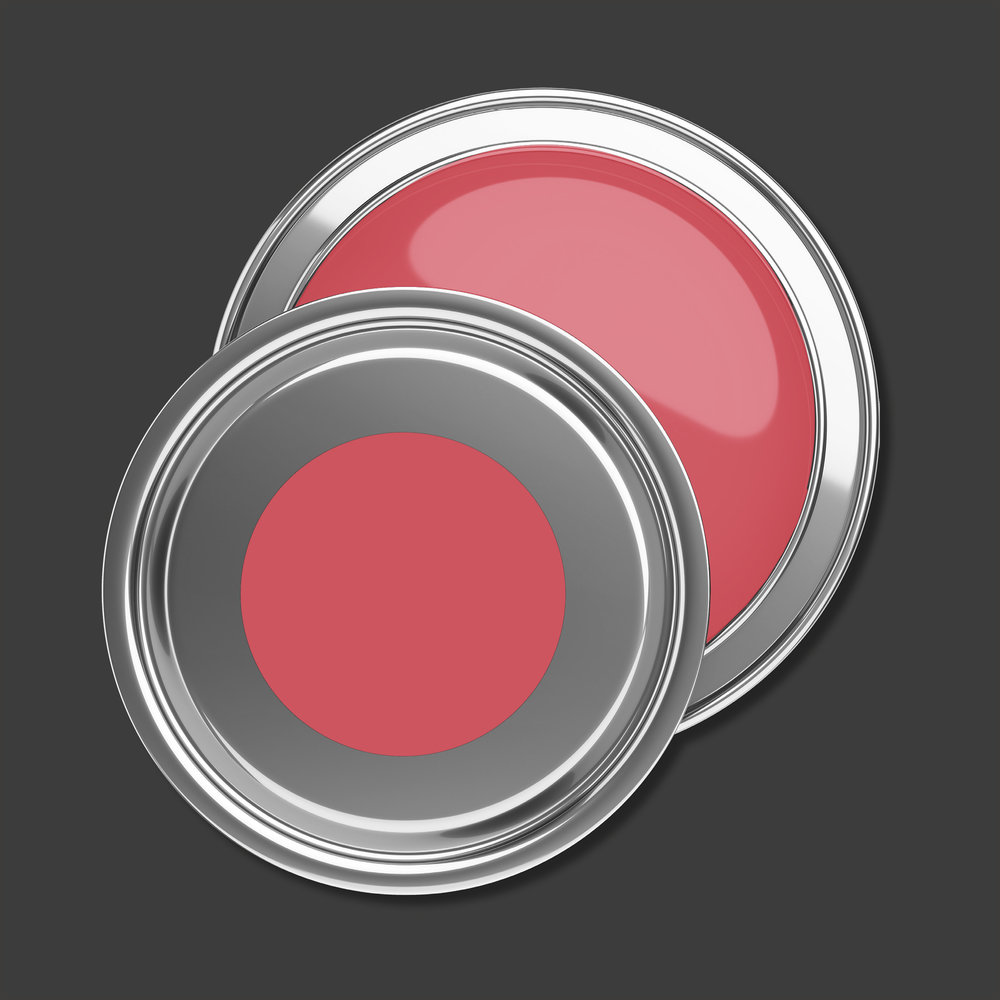 AS Premium Innenwandfarbe Puro c2033 peachy pink 1 L