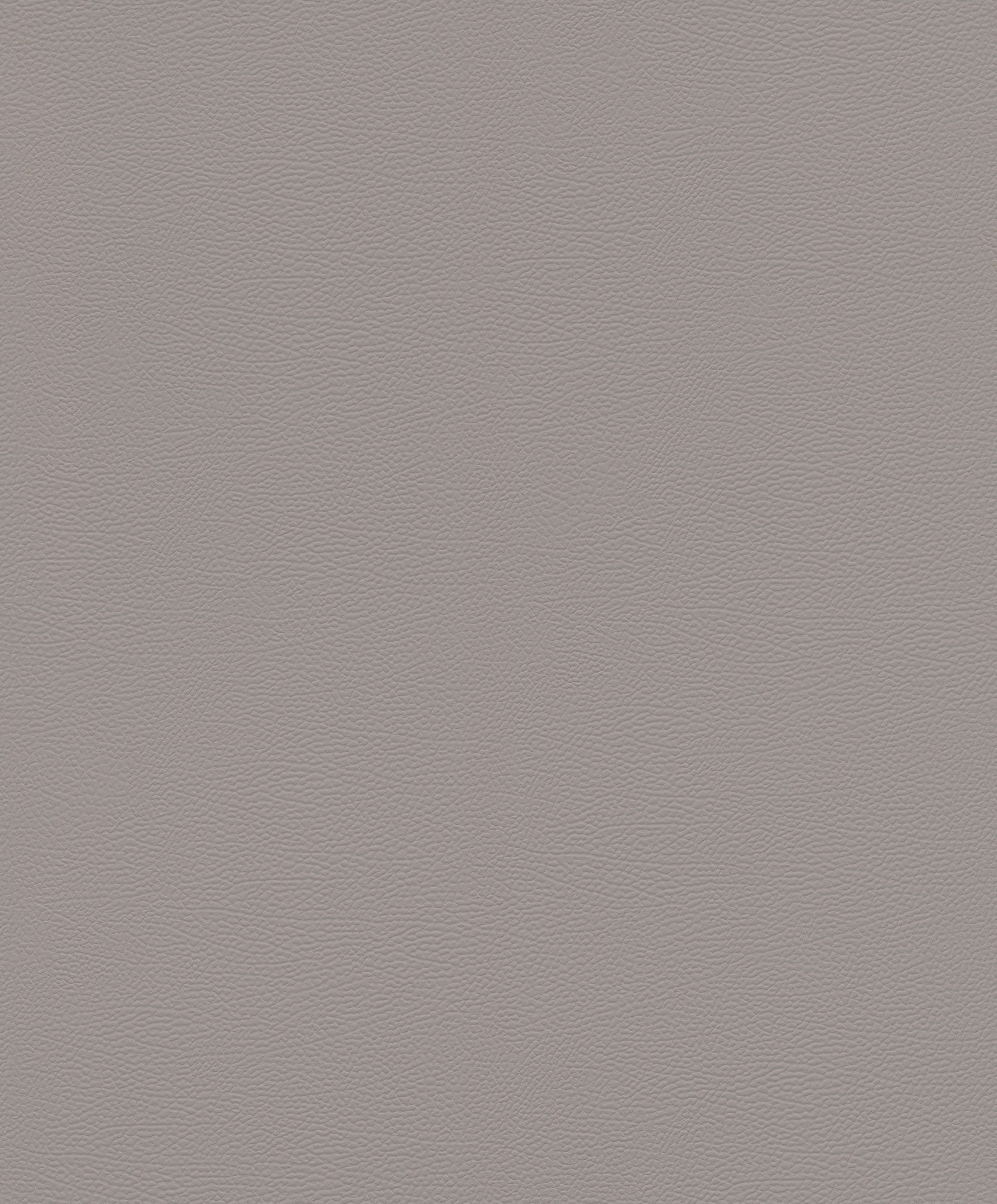 Rasch Vliestapete African Queen 3 Elefantenhaut 752649