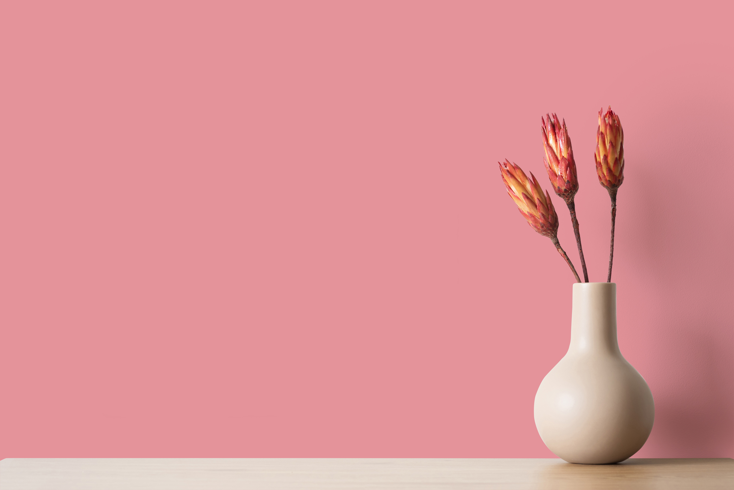 AS Wandfarbe The Color Kitchen TCK7010 Masterfully Macaron 2