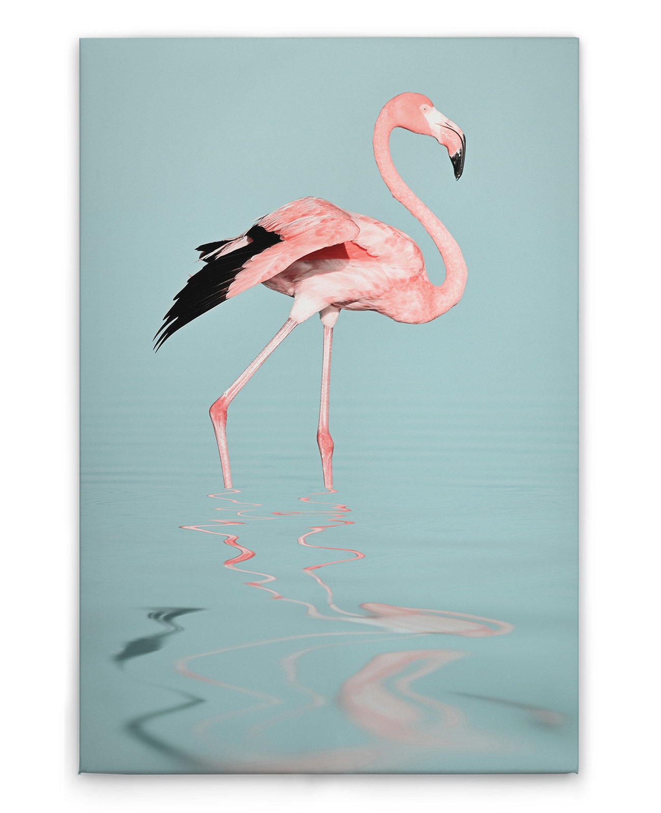 AS Leinwandbild Flamingo Water DD132168