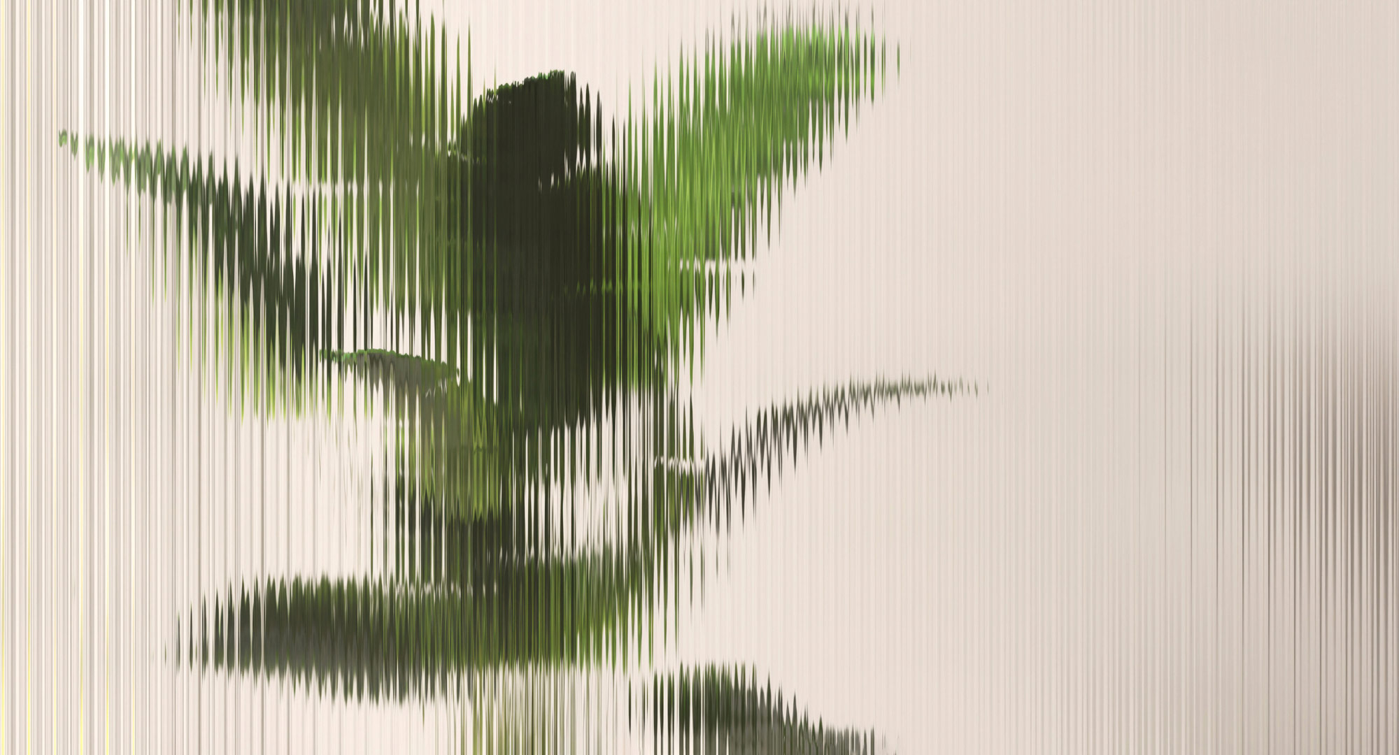 AS Fototapete Walls by Patel 5 Blätter Grün DD134963