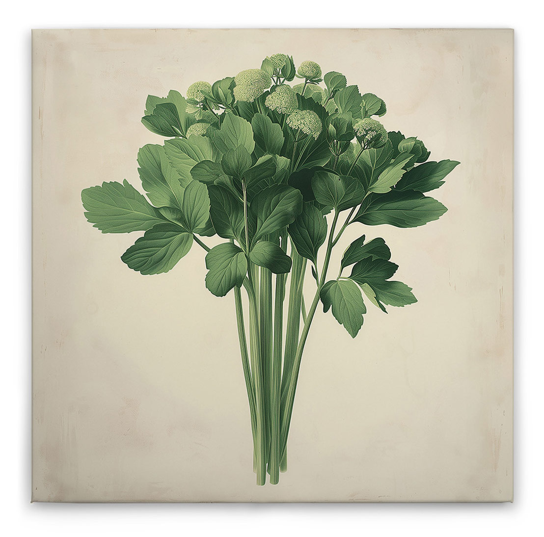 AS Leinwandbild Sellerie DD132959