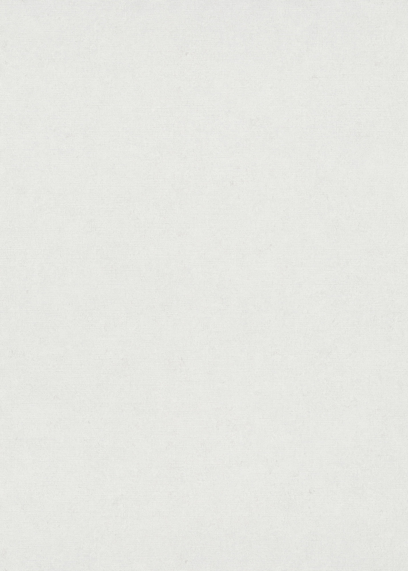 Erismann Vliestapete Gentle 1043001