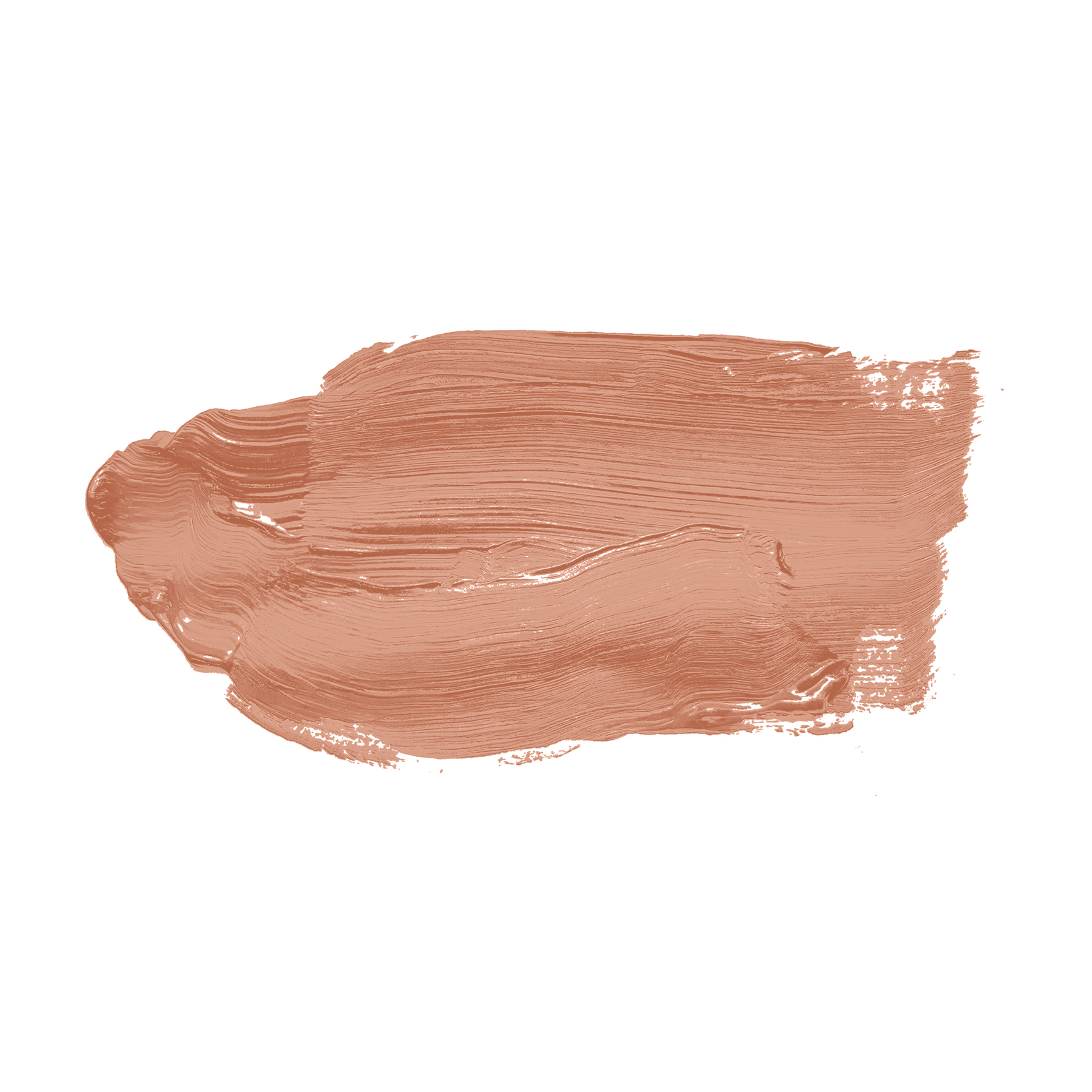 AS Wandfarbe The Color Kitchen TCK5012 Ruddy Rosehip 2,5 L