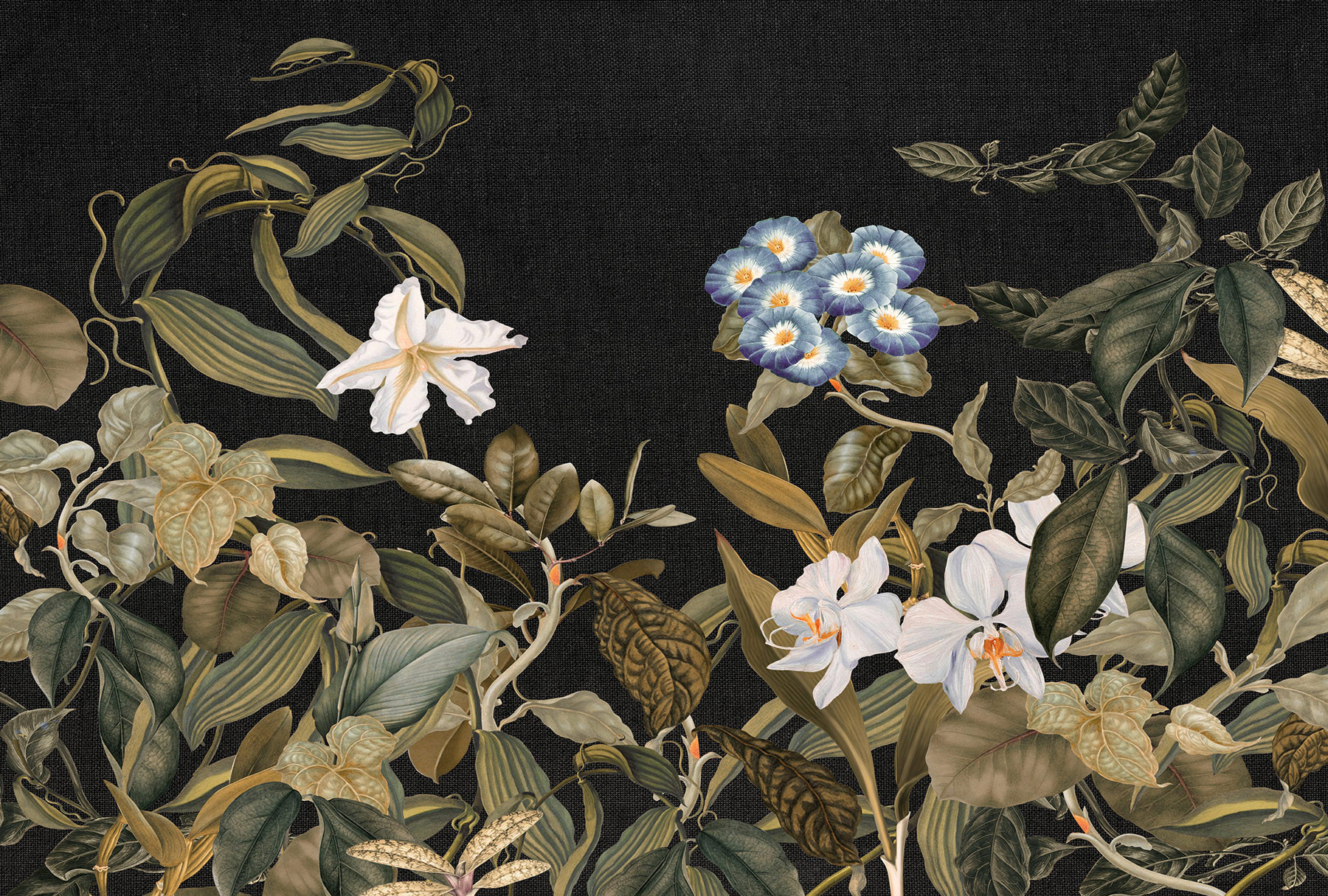 AS Fototapete Atelier 47 BotanicSketch DD118080