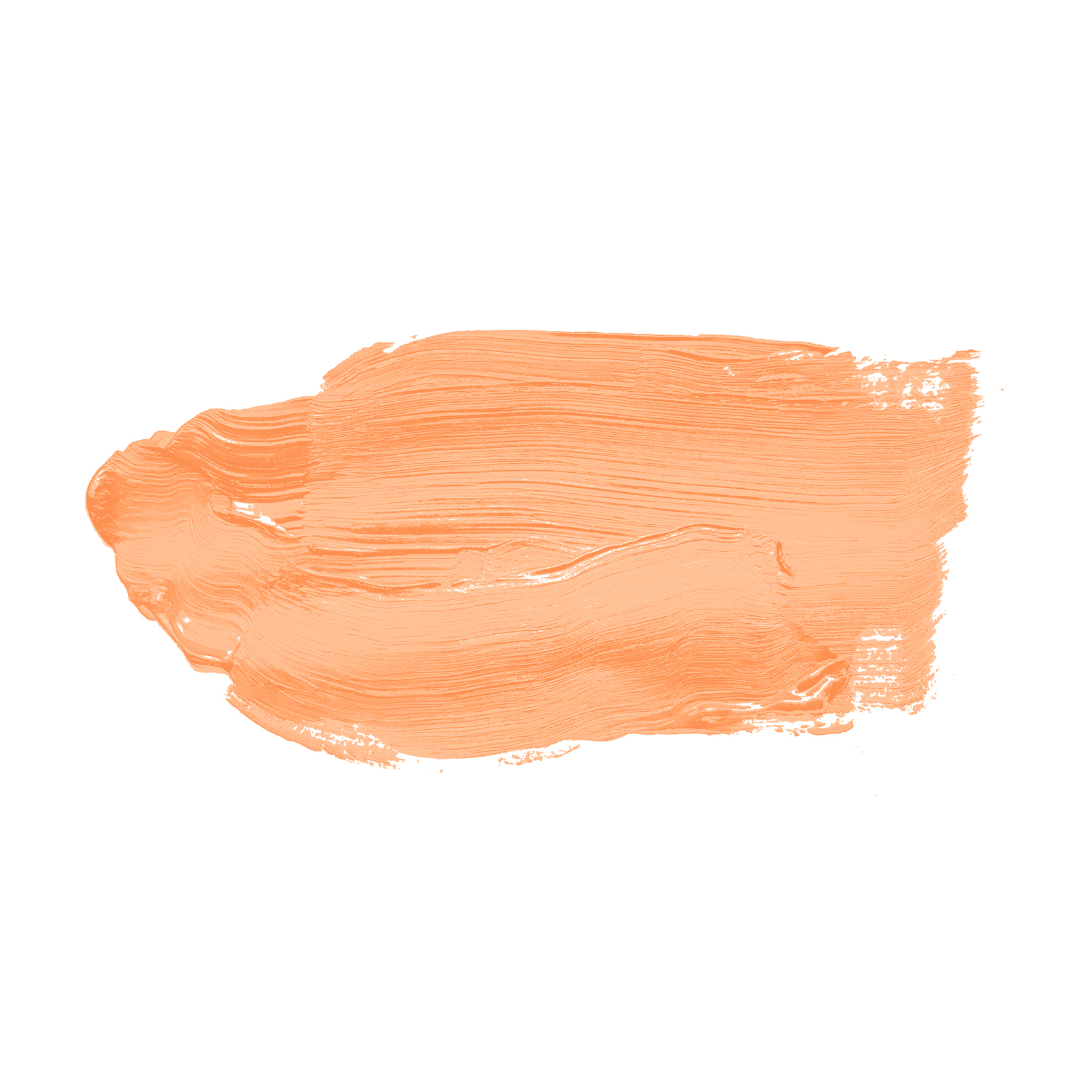 AS Wandfarbe The Color Kitchen TCK5010 Pure Papaya 2,5 L