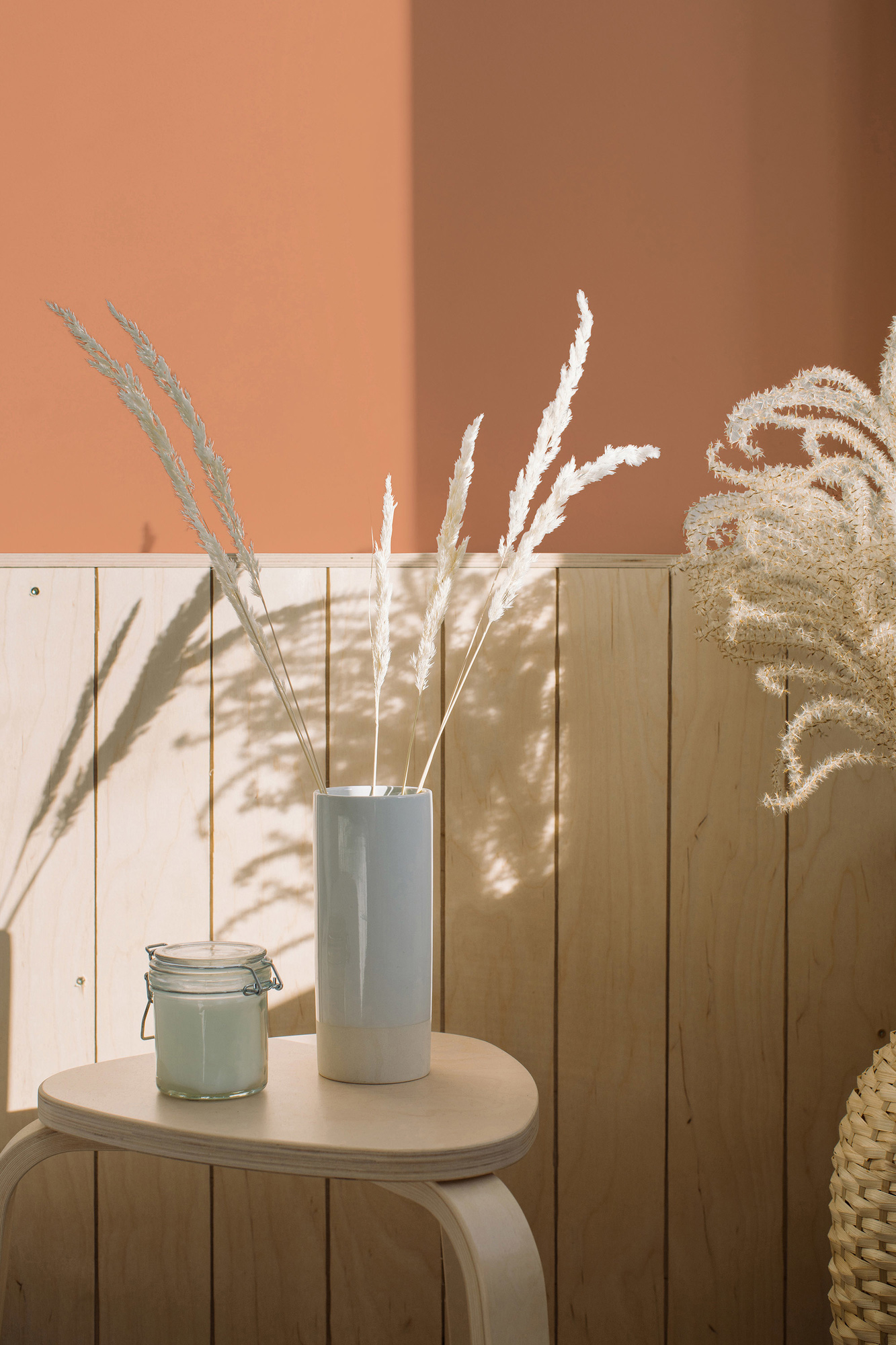 AS Premium Innenwandfarbe Puro c9002 dusty orange 1 L