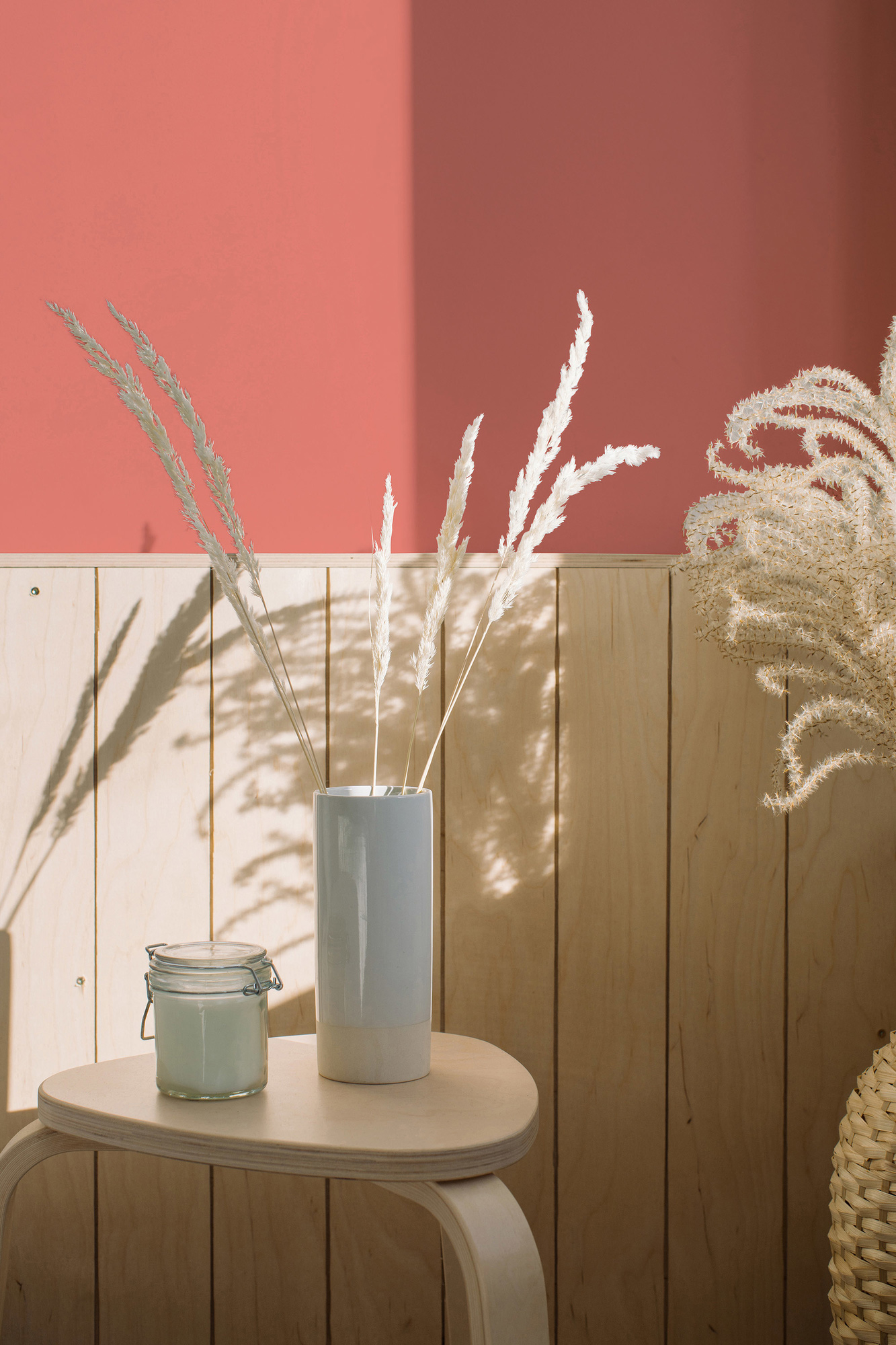 AS Premium Innenwandfarbe Puro c2029 peachy pink 1 L