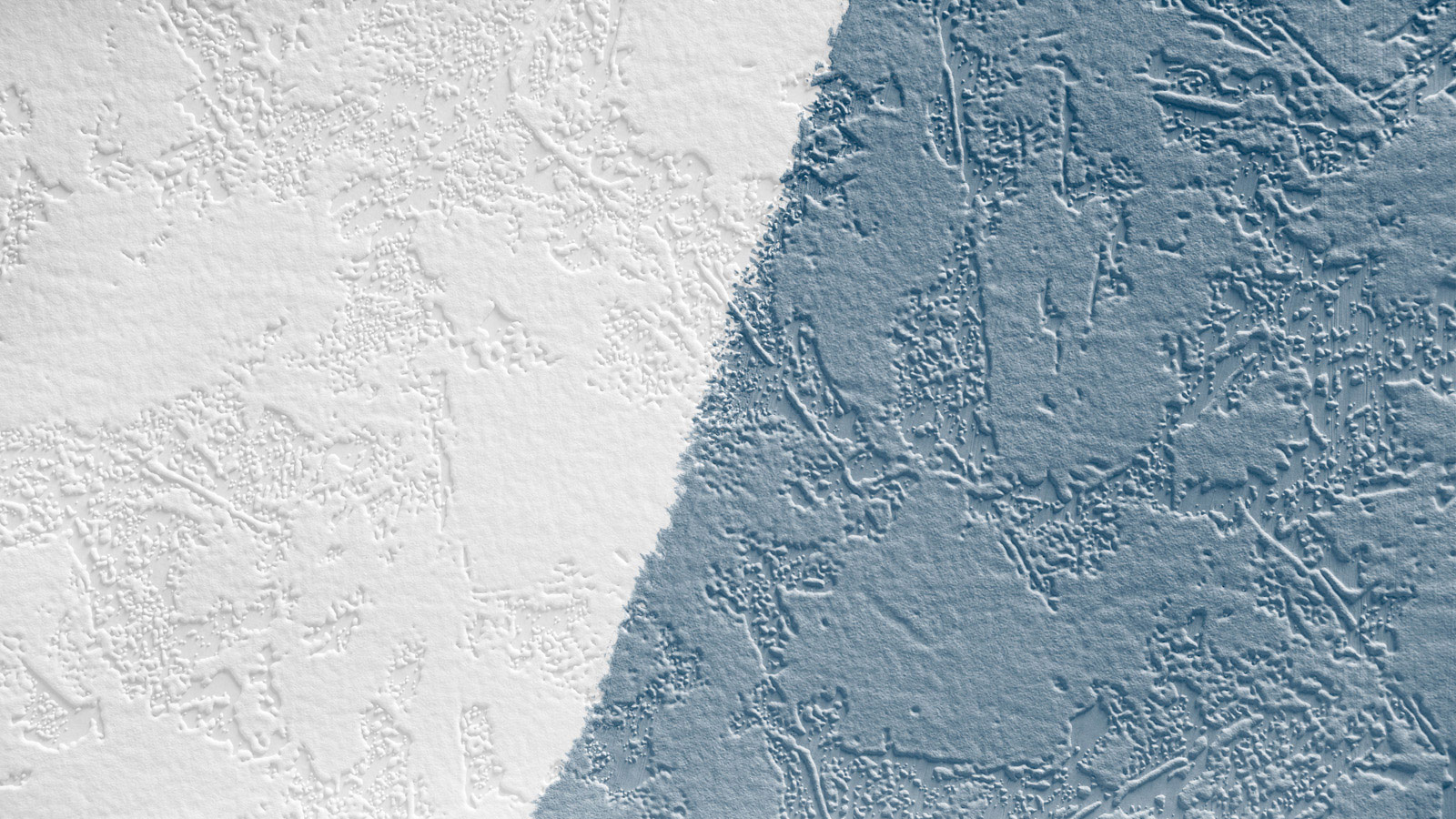 AS Vliestapete Meistervlies 8 überstreichbar 522016