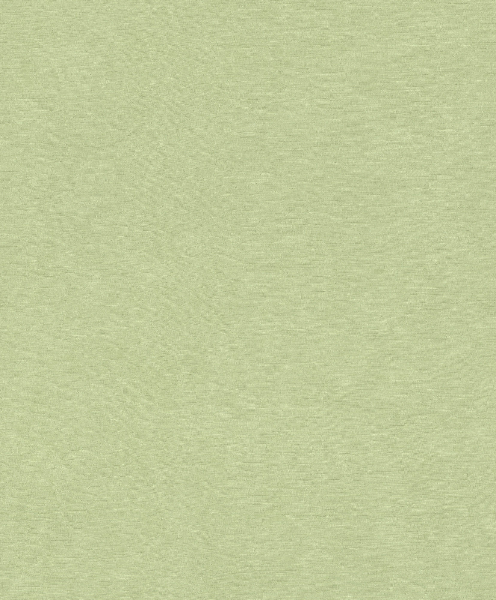 Rasch Vliestapete Paraiso Unitapete 330052 Rasch Vliestapete Paraiso Unitapete 330052