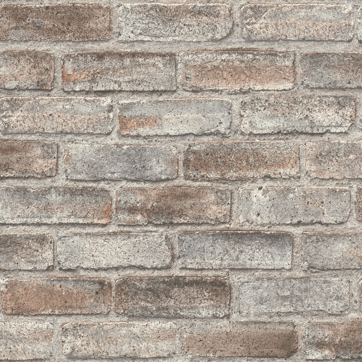 Rasch Vliestapete Symphony Mauer Grau-Steingrau 869002