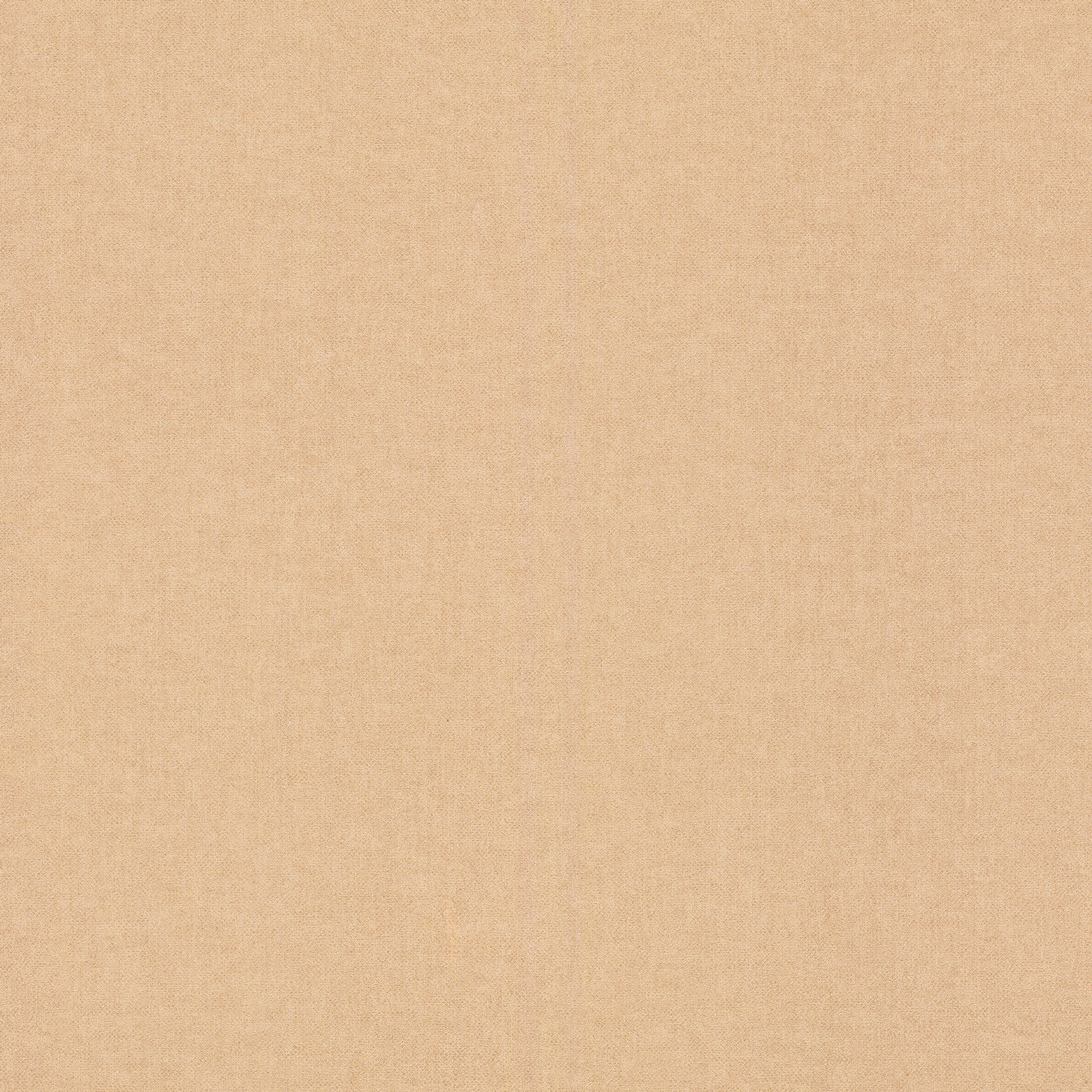 Rasch Vliestapete Kids World Unitapete 252866