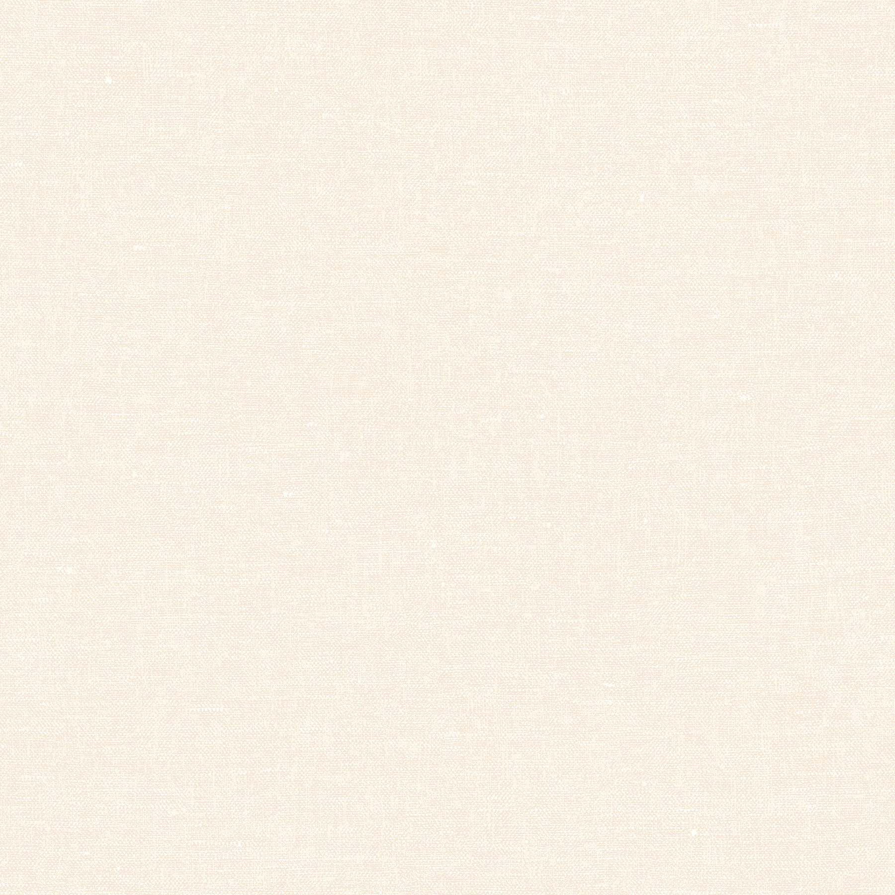 Decoprint Vliestapete Terra Nova Hemp Plain TN29000