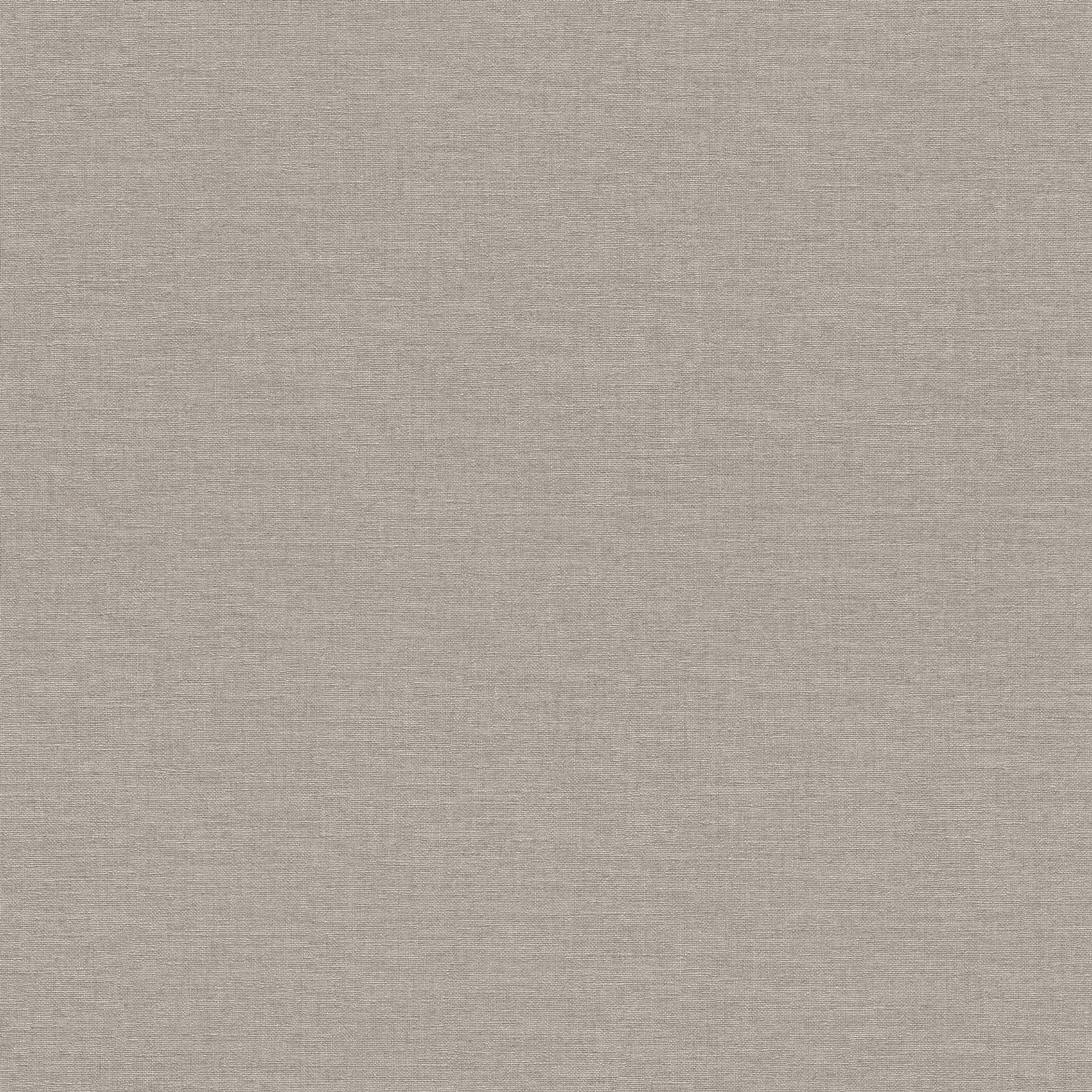 Rasch Vliestapete Country Charme Grau-Dunkelgrau 452037