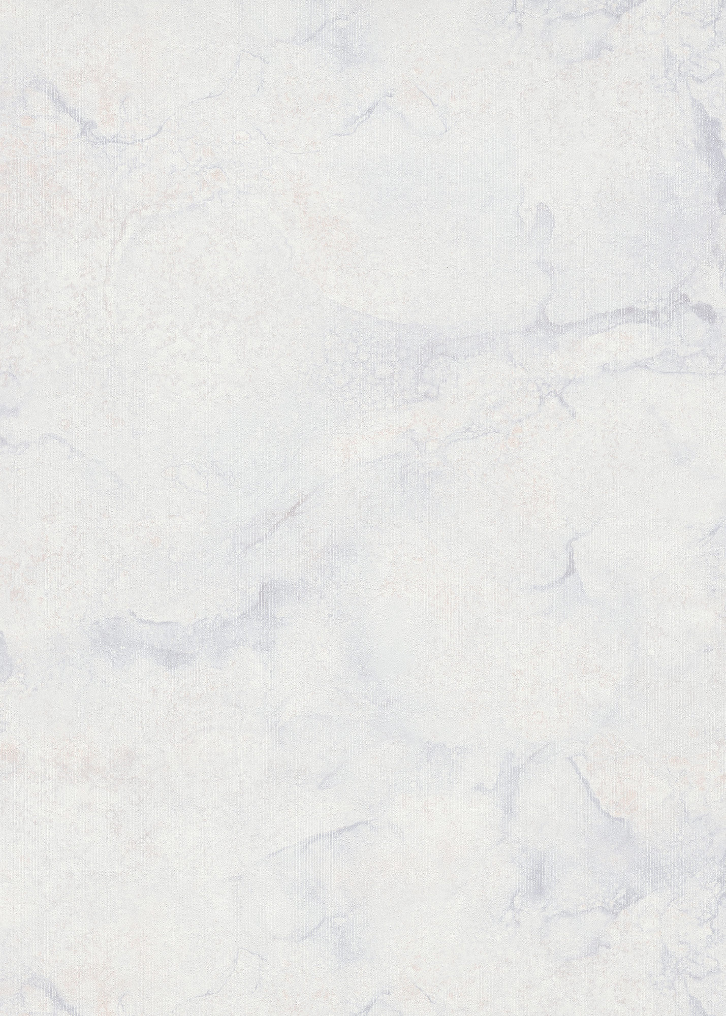 Erismann Vliestapete Melissa 4Earth hellgrau 1036031