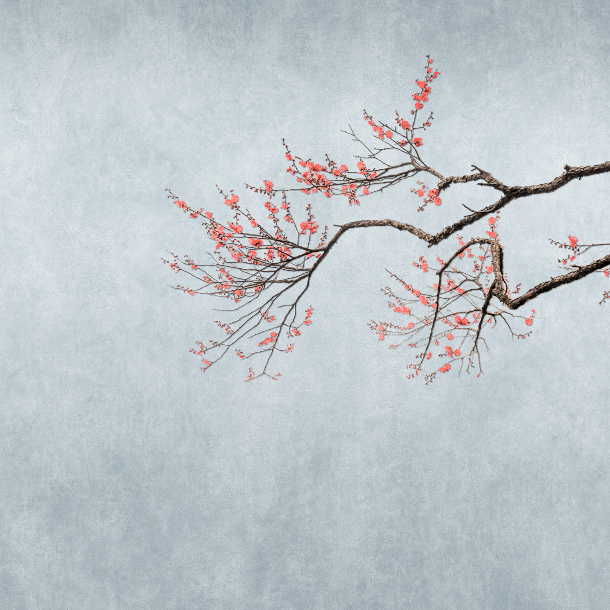 Rasch Fototapete Magic Walls Asien 361094