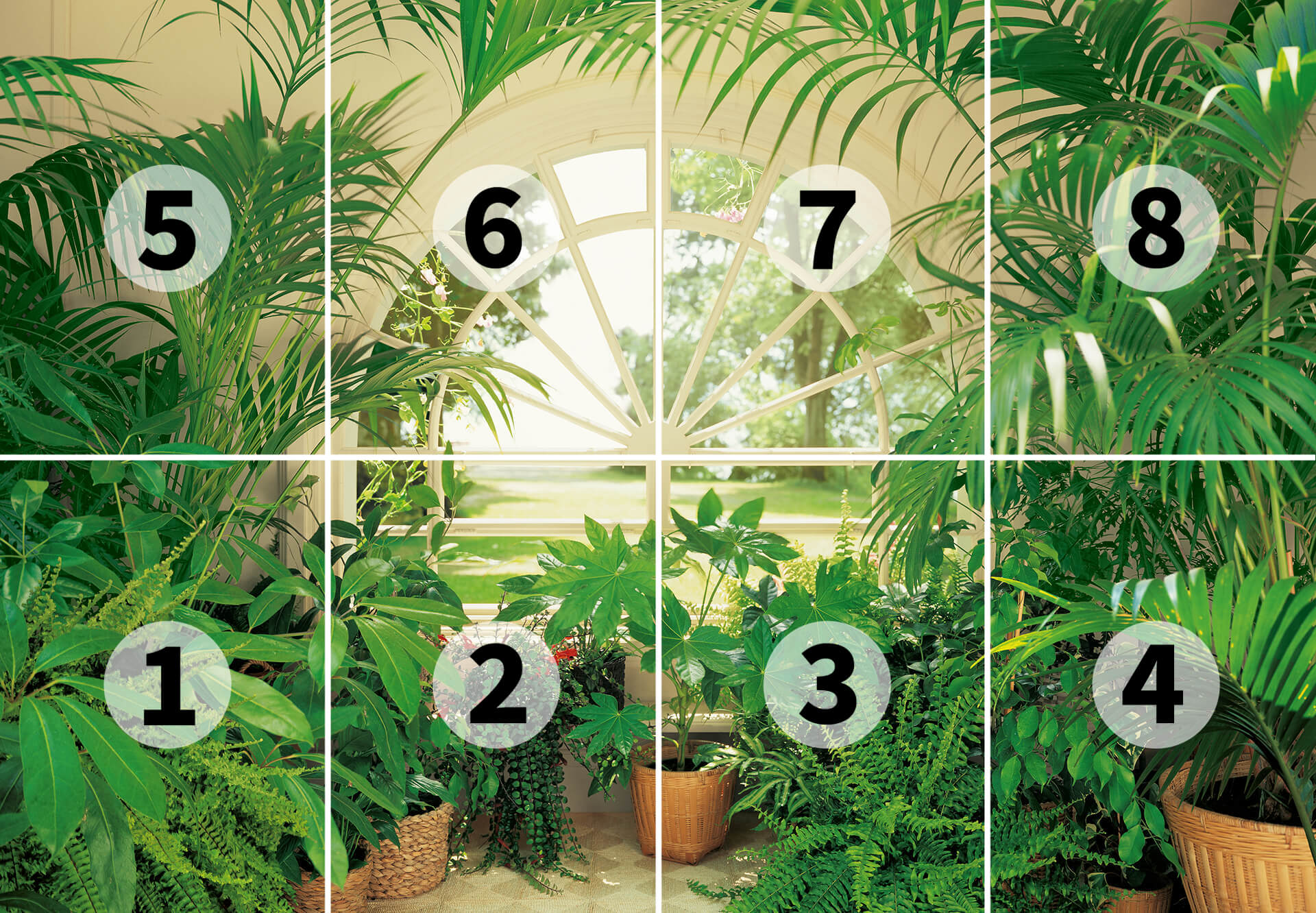 AS Fototapete Designwalls 2.0 Wintergarden DD118862