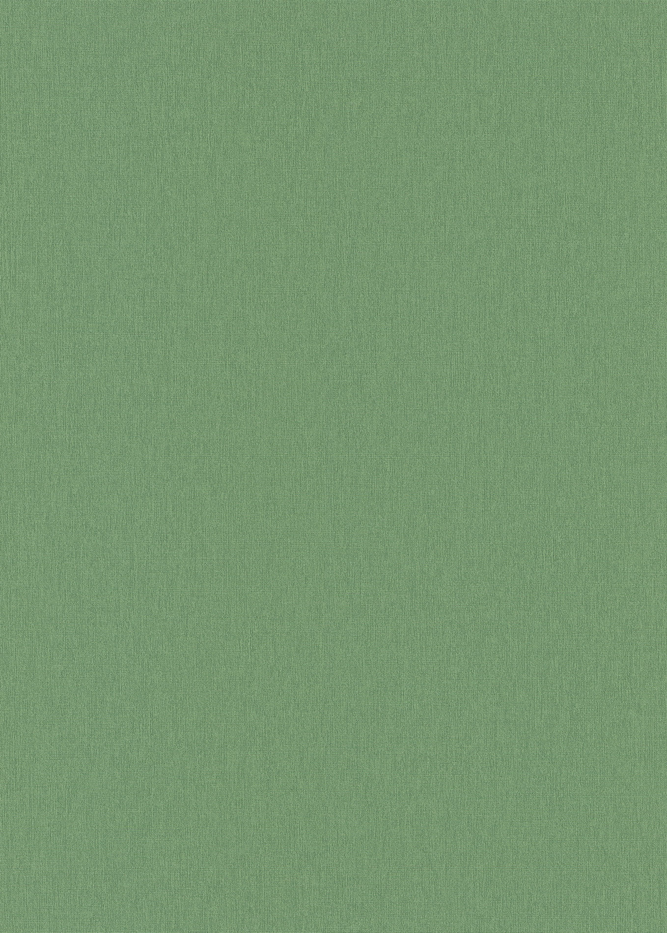 Erismann Vliestapete Martinique grün 1039307