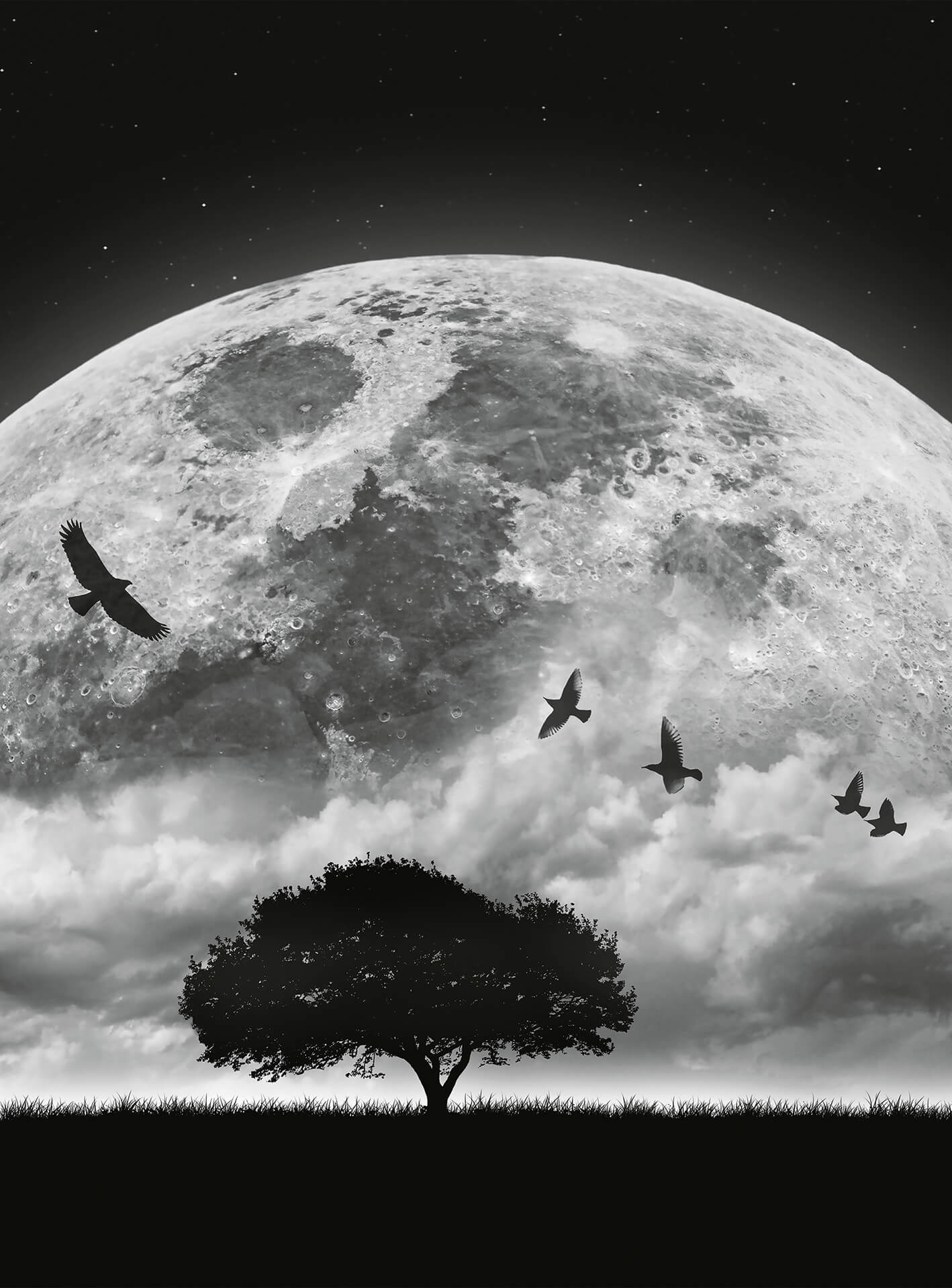 AS Fototapete Designwalls 2.0 Moon and Birds DD119153