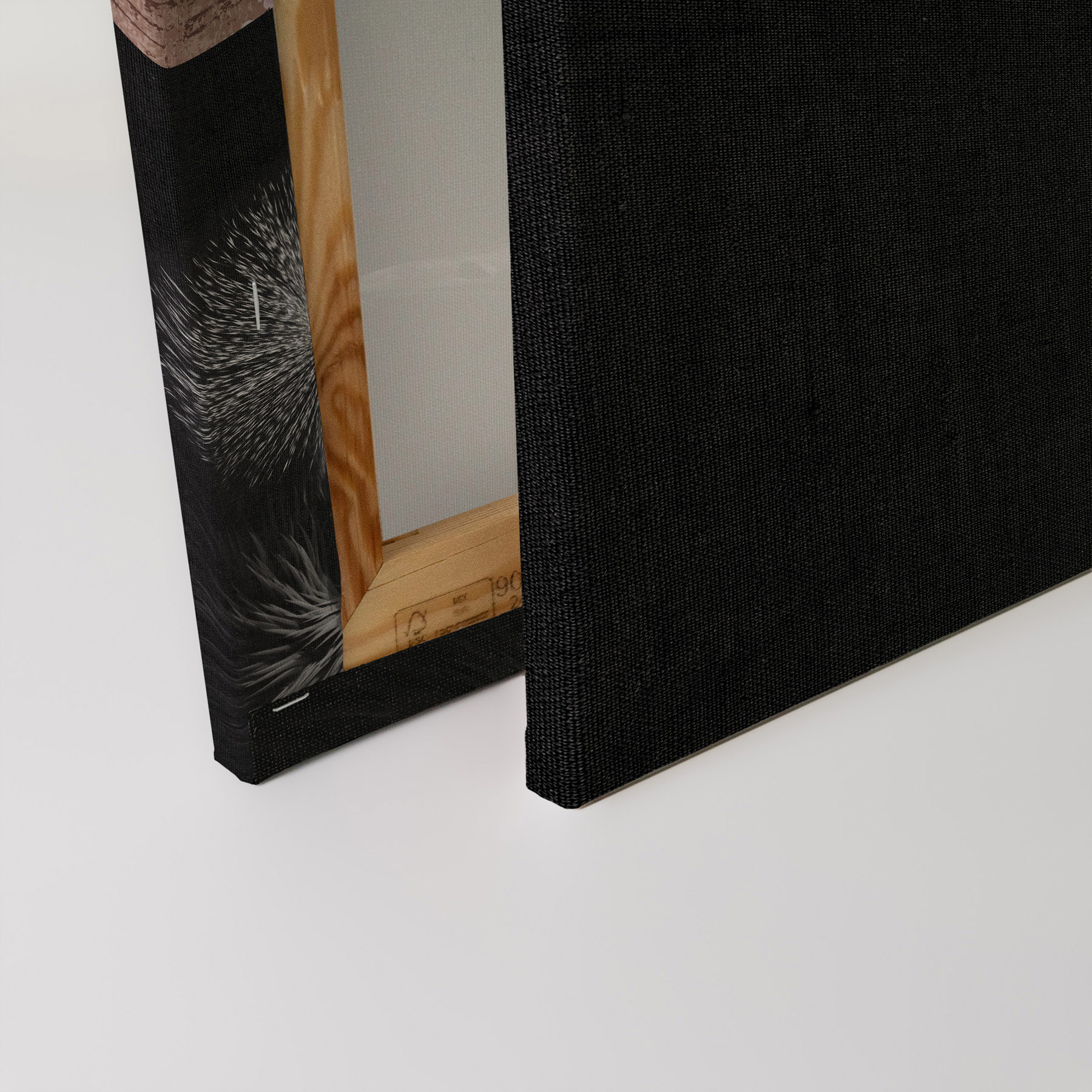 AS Leinwandbild Crowned Crane DD132203