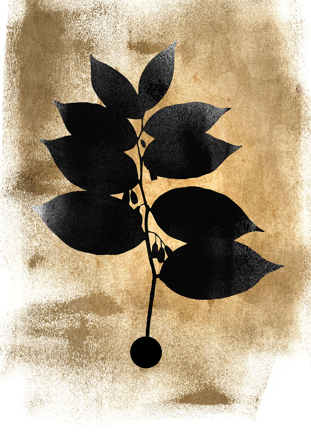 AS Fototapete ARTist Blumen DD119953 AS Fototapete ARTist Blumen DD119953