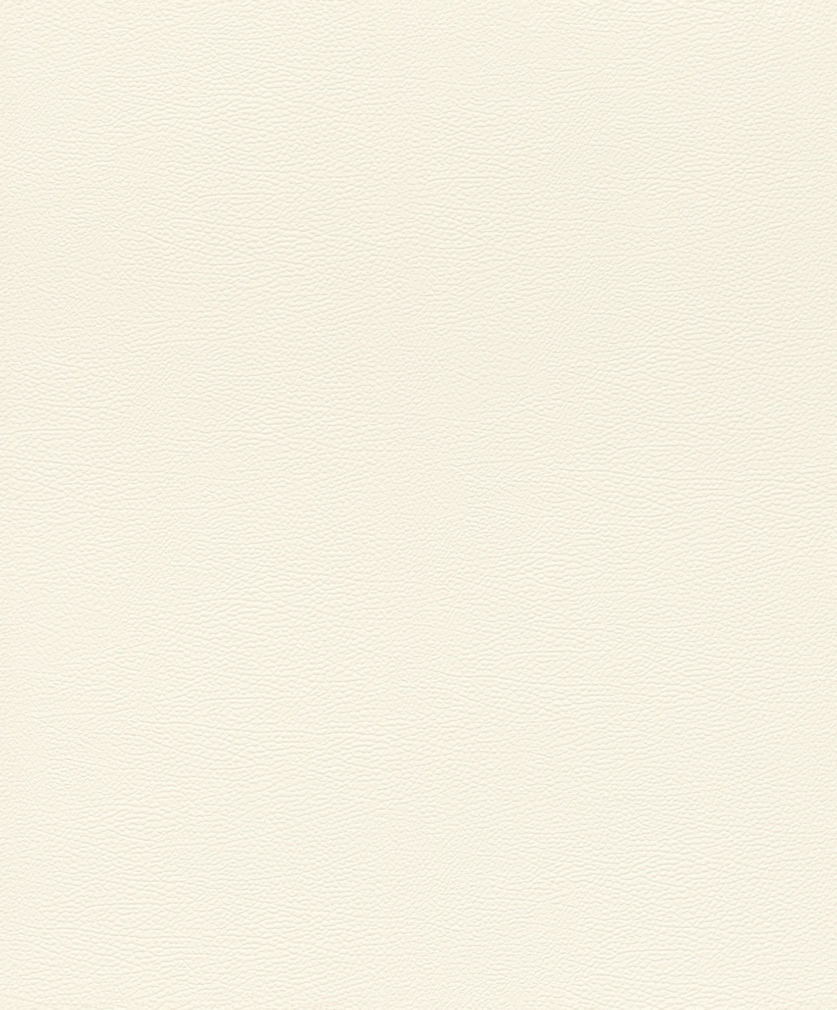 Rasch Vliestapete African Queen 3 Elefantenhaut 752632