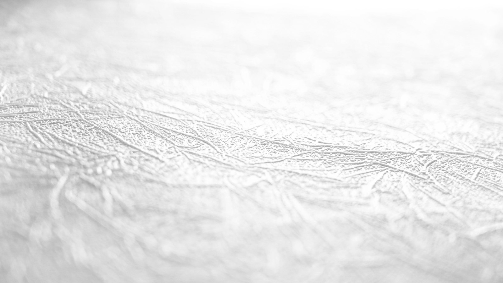 AS Vliestapete Meistervlies 8 überstreichbar 377801