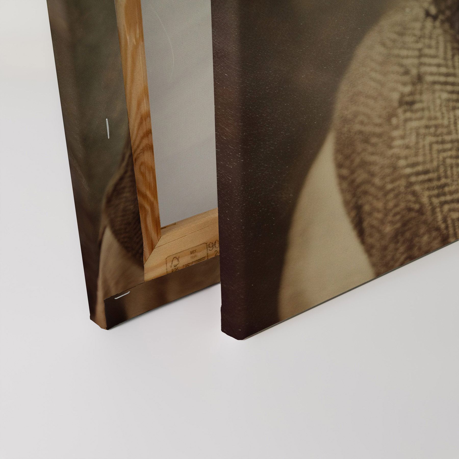 AS Leinwandbild Mr.Dog DD133357