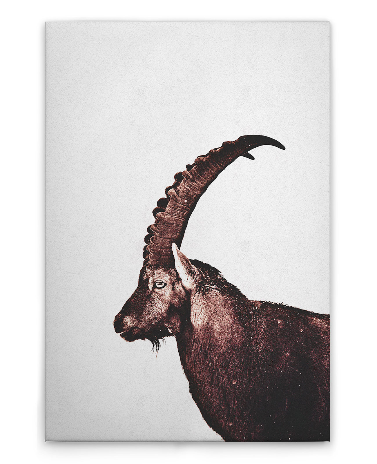 AS Leinwandbild Capricorn Snow DD132213