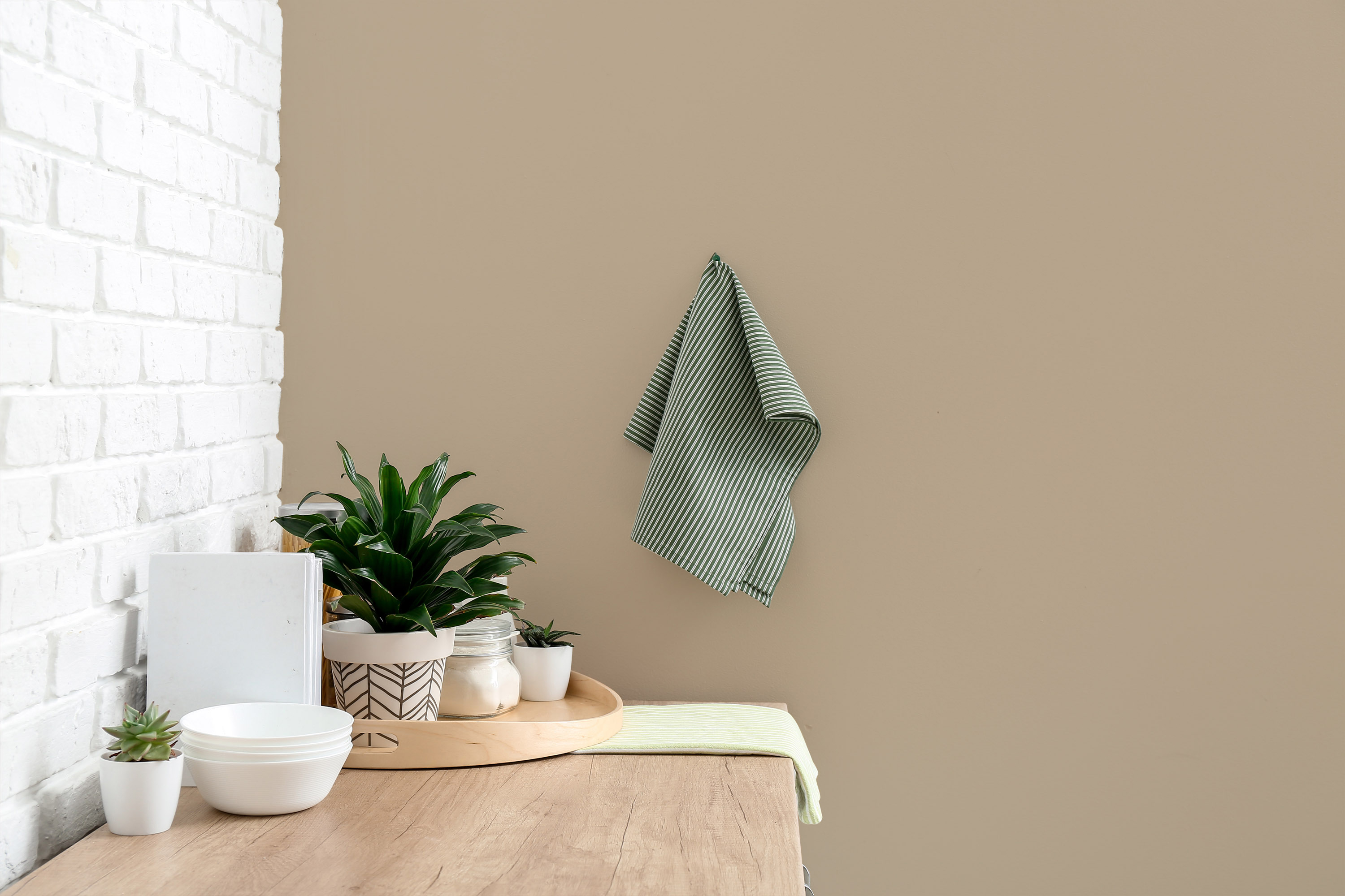 AS Wandfarbe The Color Kitchen TCK6002 Flat White Coffee 2,5