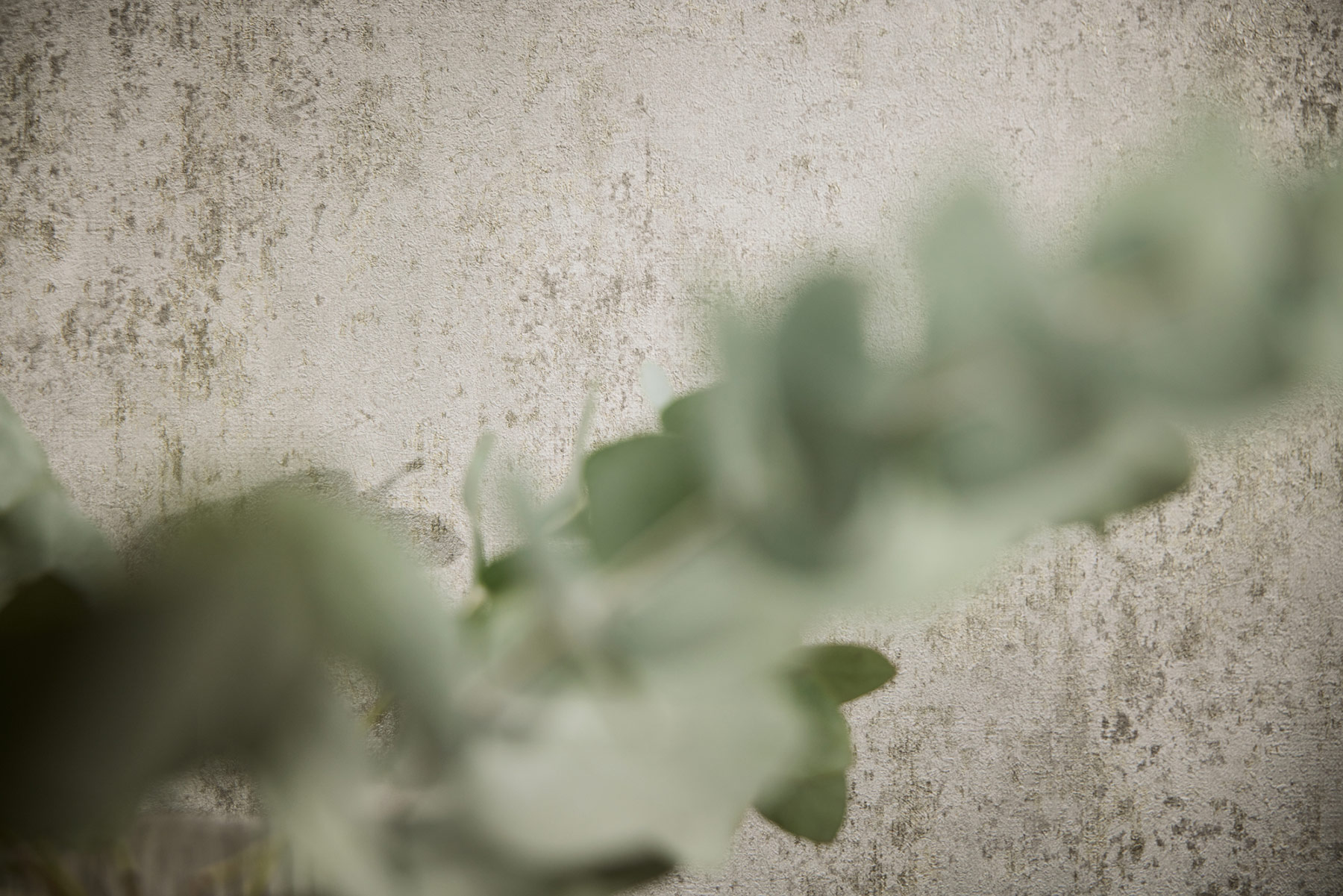 AS Vliestapete MS Hot Spots Struktur Grau 786293