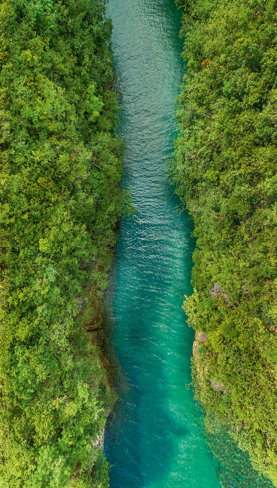 Grandeco Wandbild Mural Young Edition ML1401