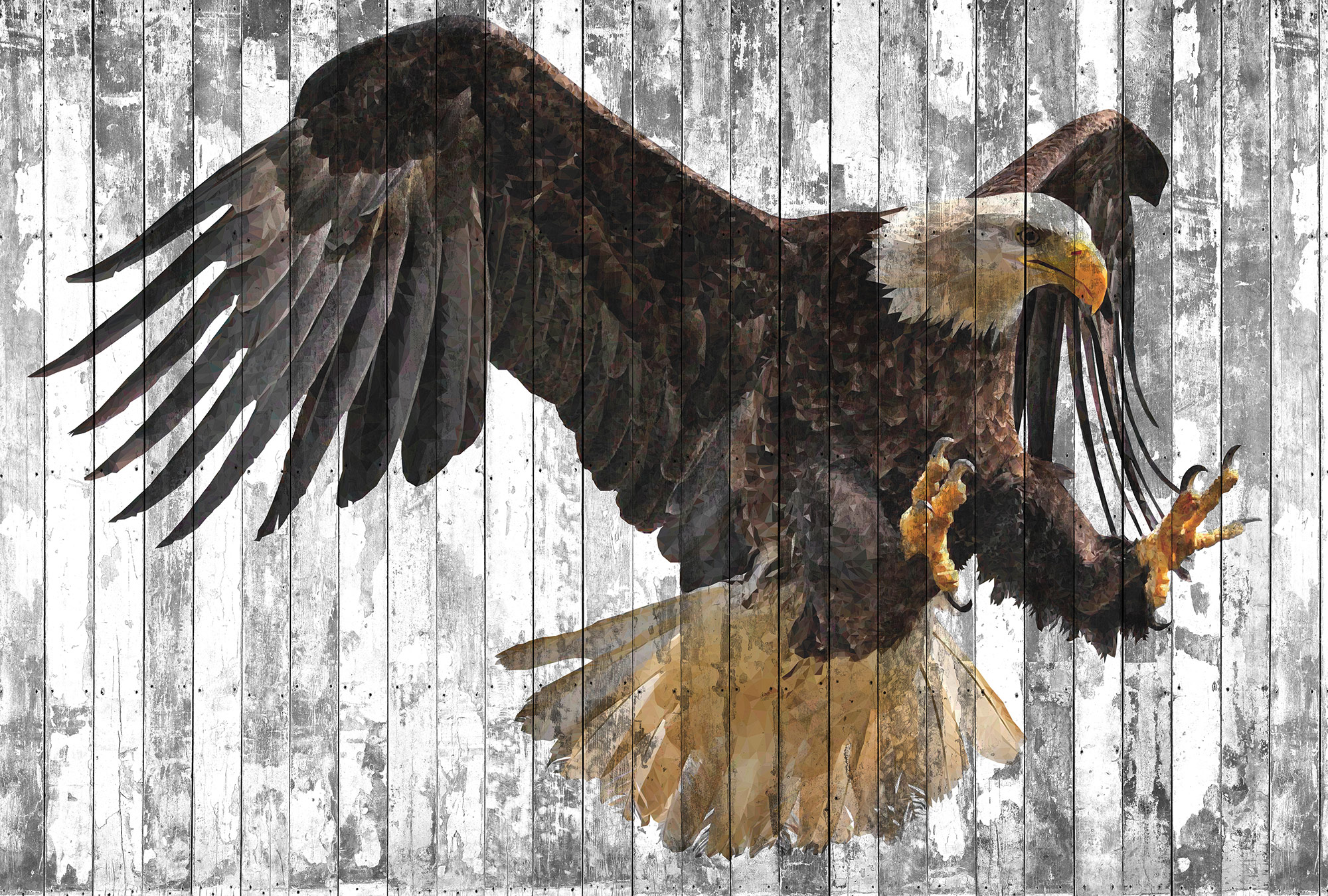 AS Fototapete Atelier 47 PolygonEagle DD118190 AS Fototapete Atelier 47 PolygonEagle DD118190