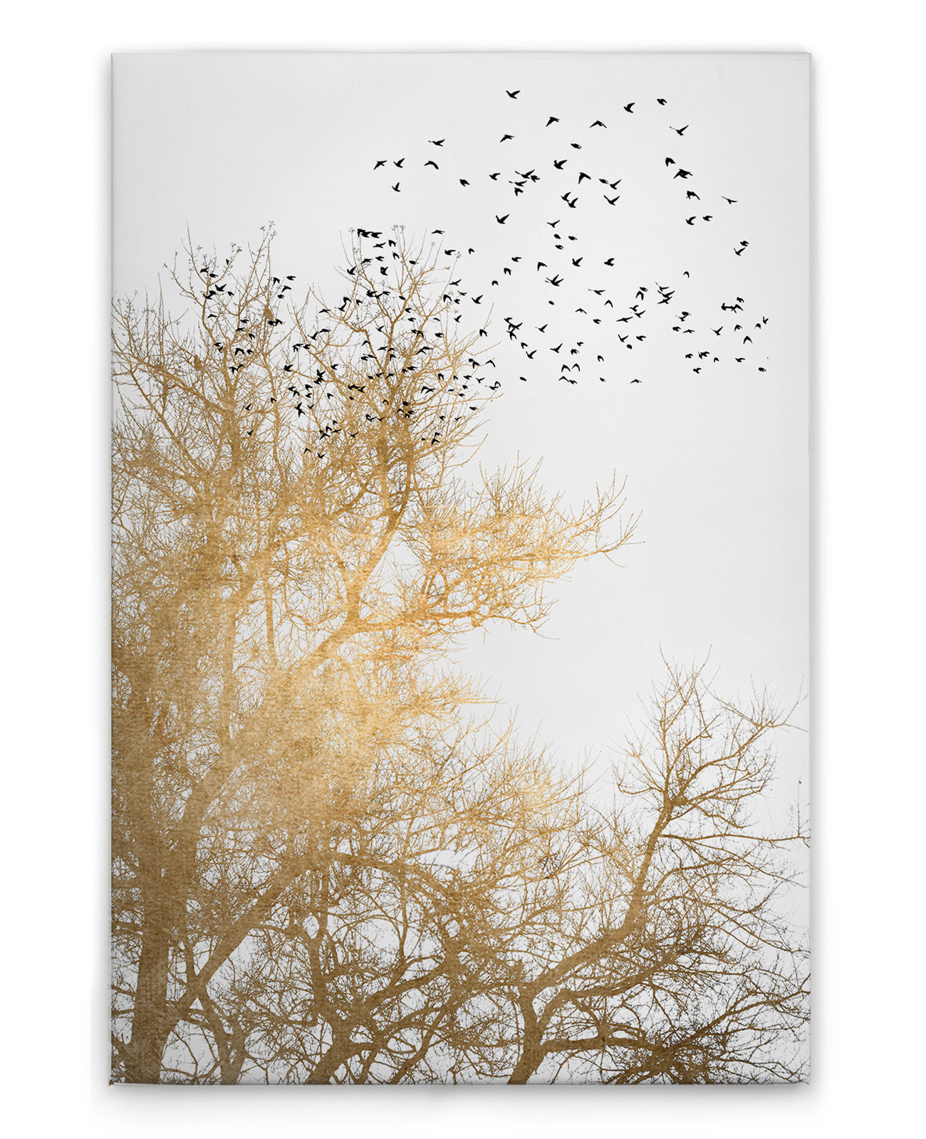 AS Leinwandbild Golden Skies DD131767