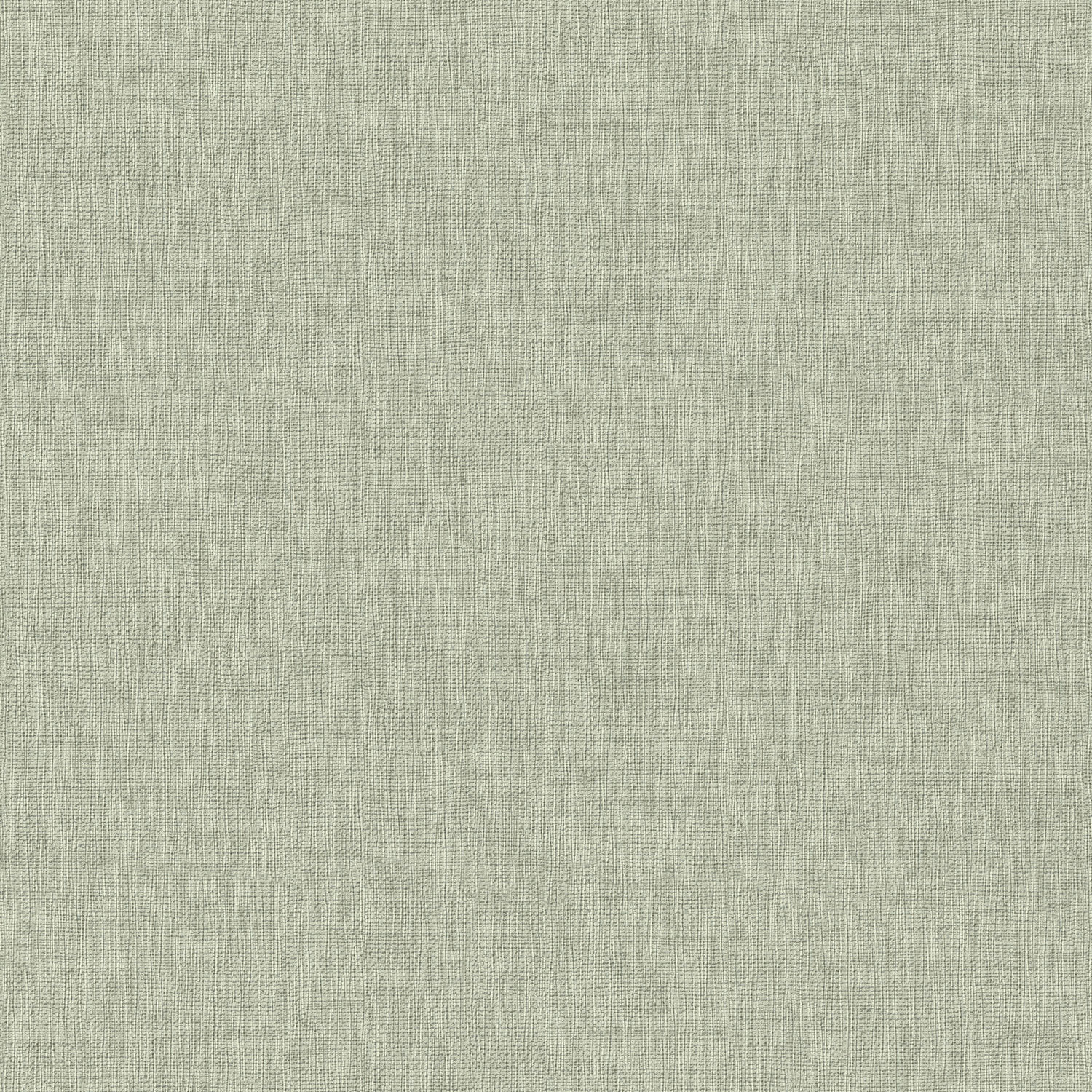 Rasch  Vliestapete Highlands grün 550450